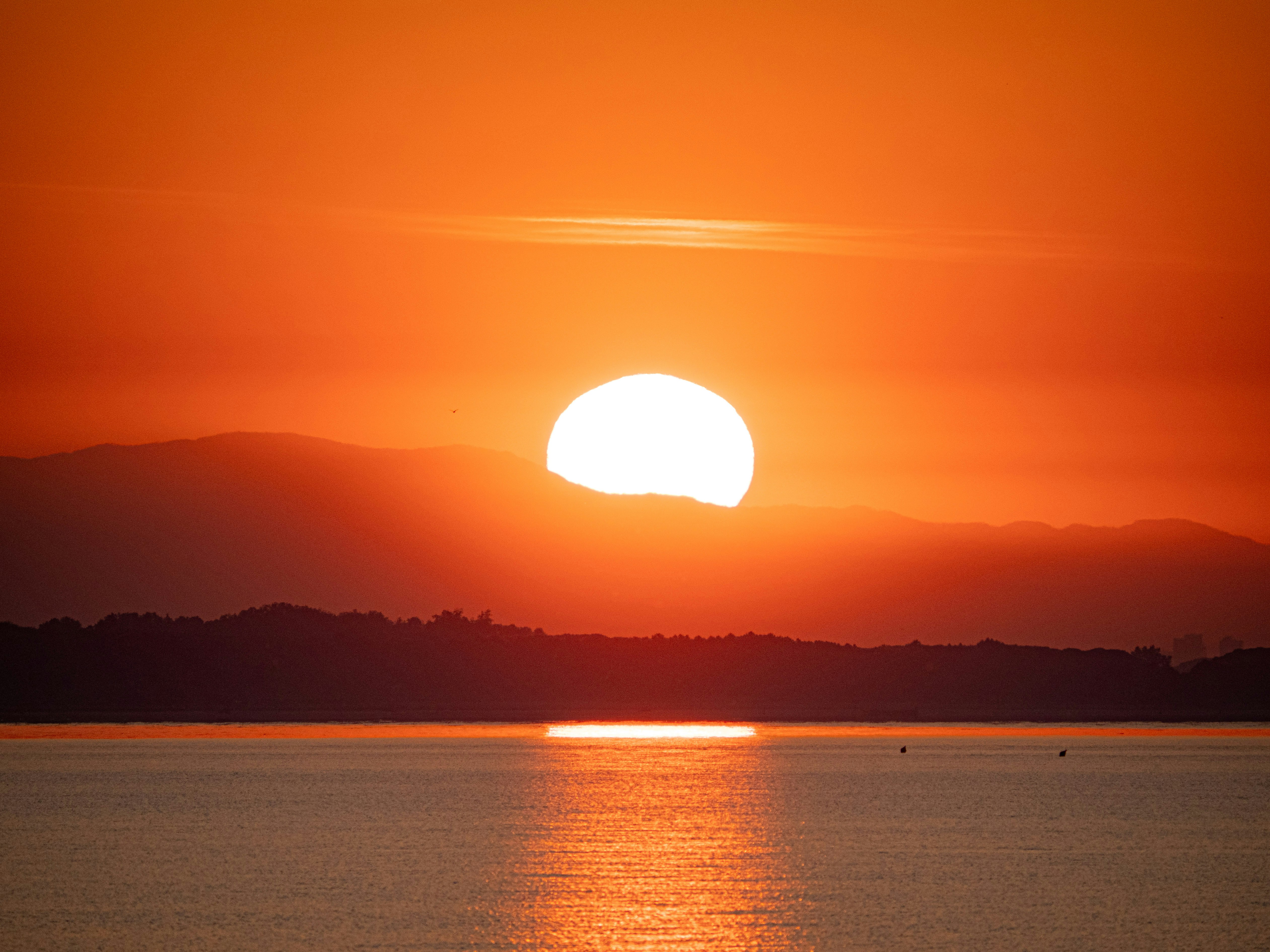 Photo by gopitri_prem