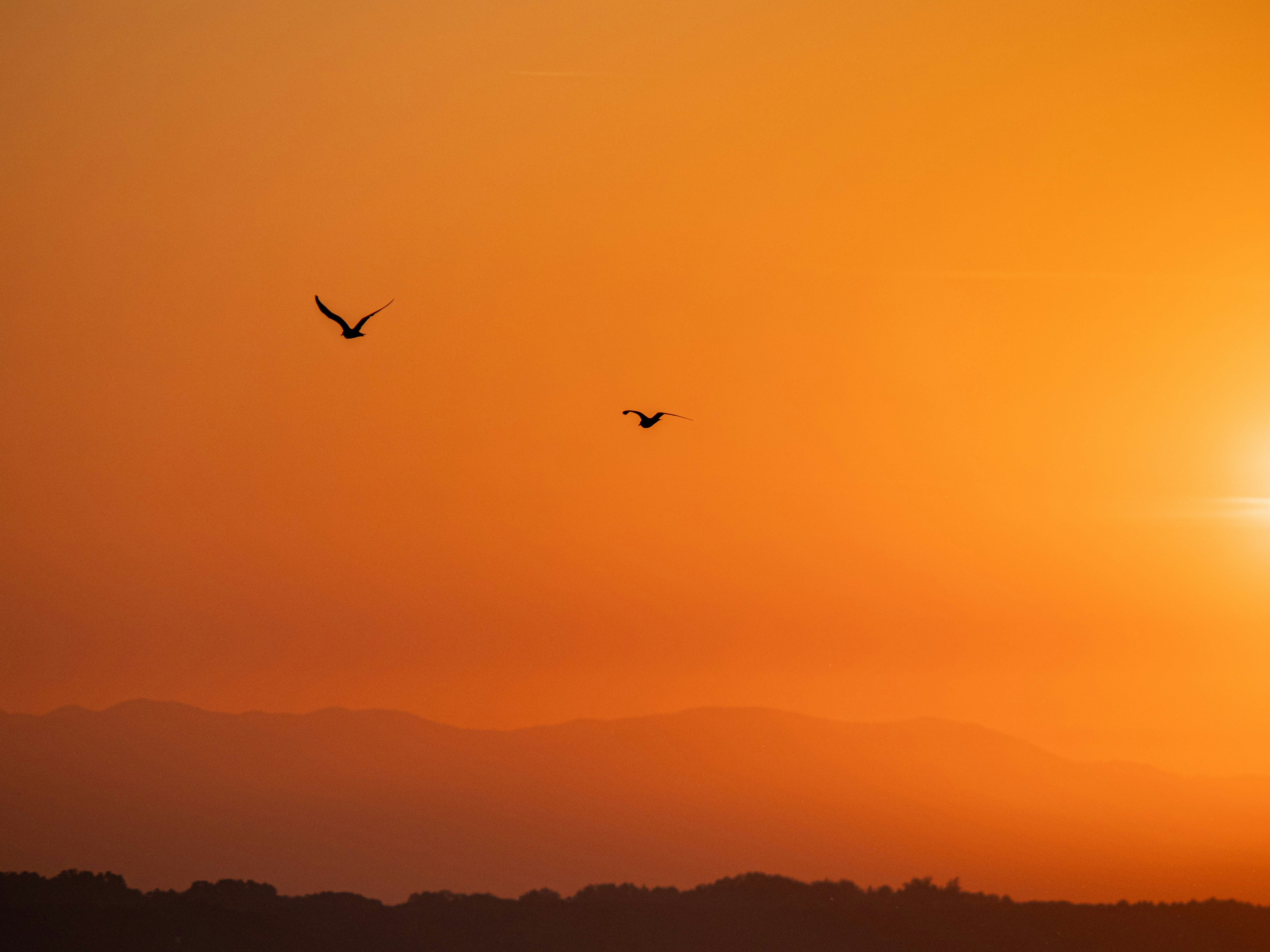 Photo by gopitri_prem