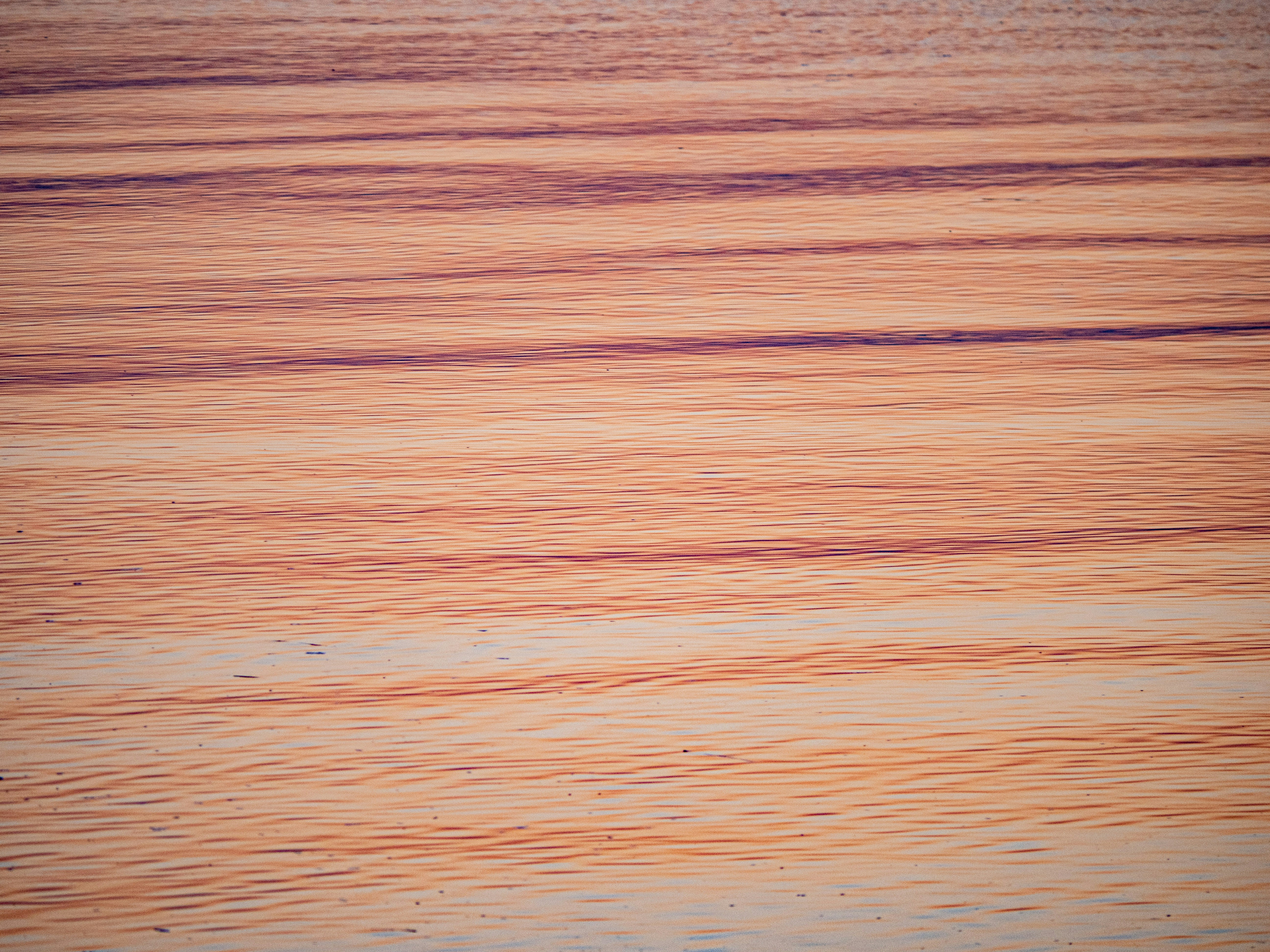 Photo by gopitri_prem