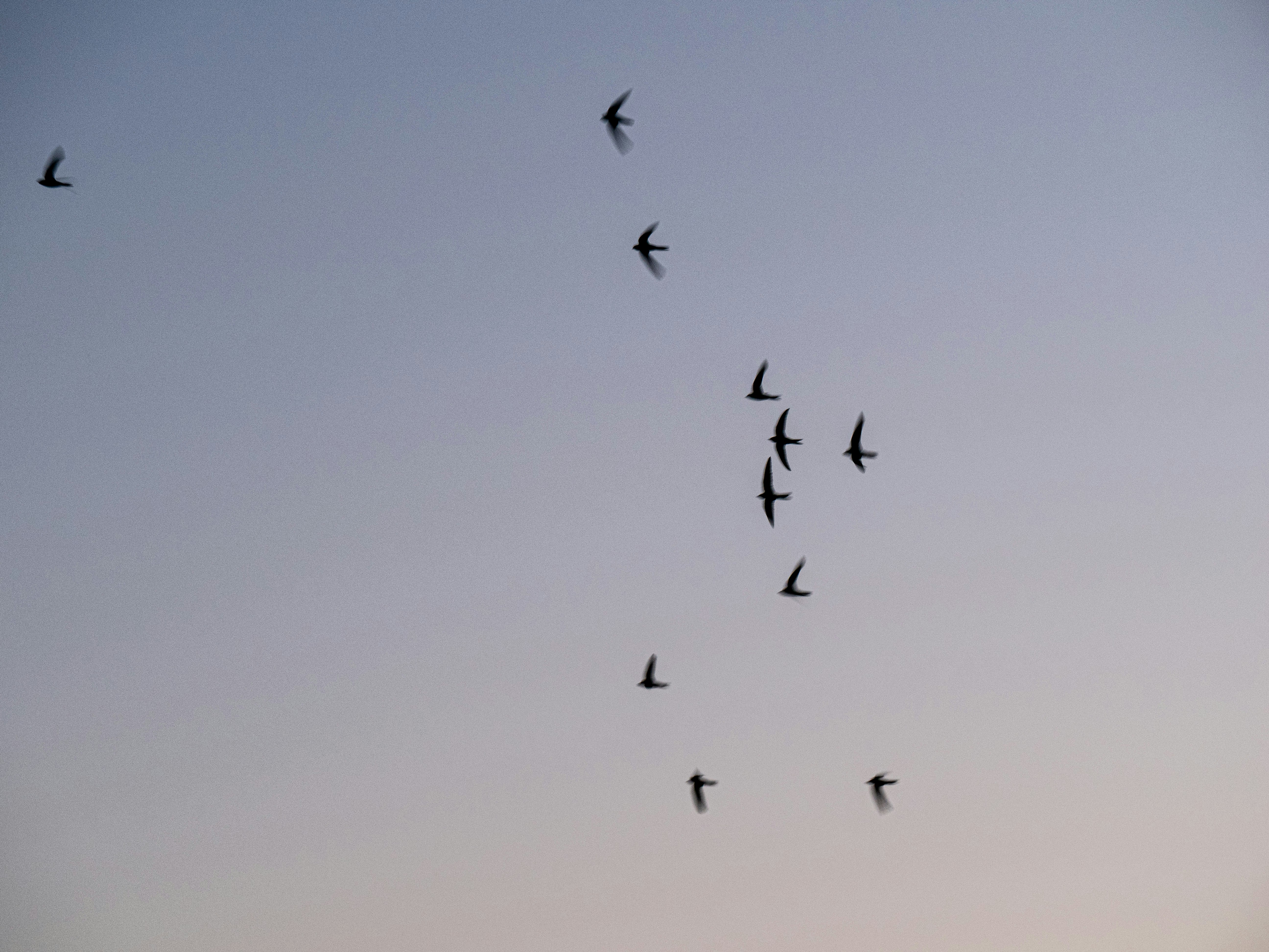 Photo by gopitri_prem