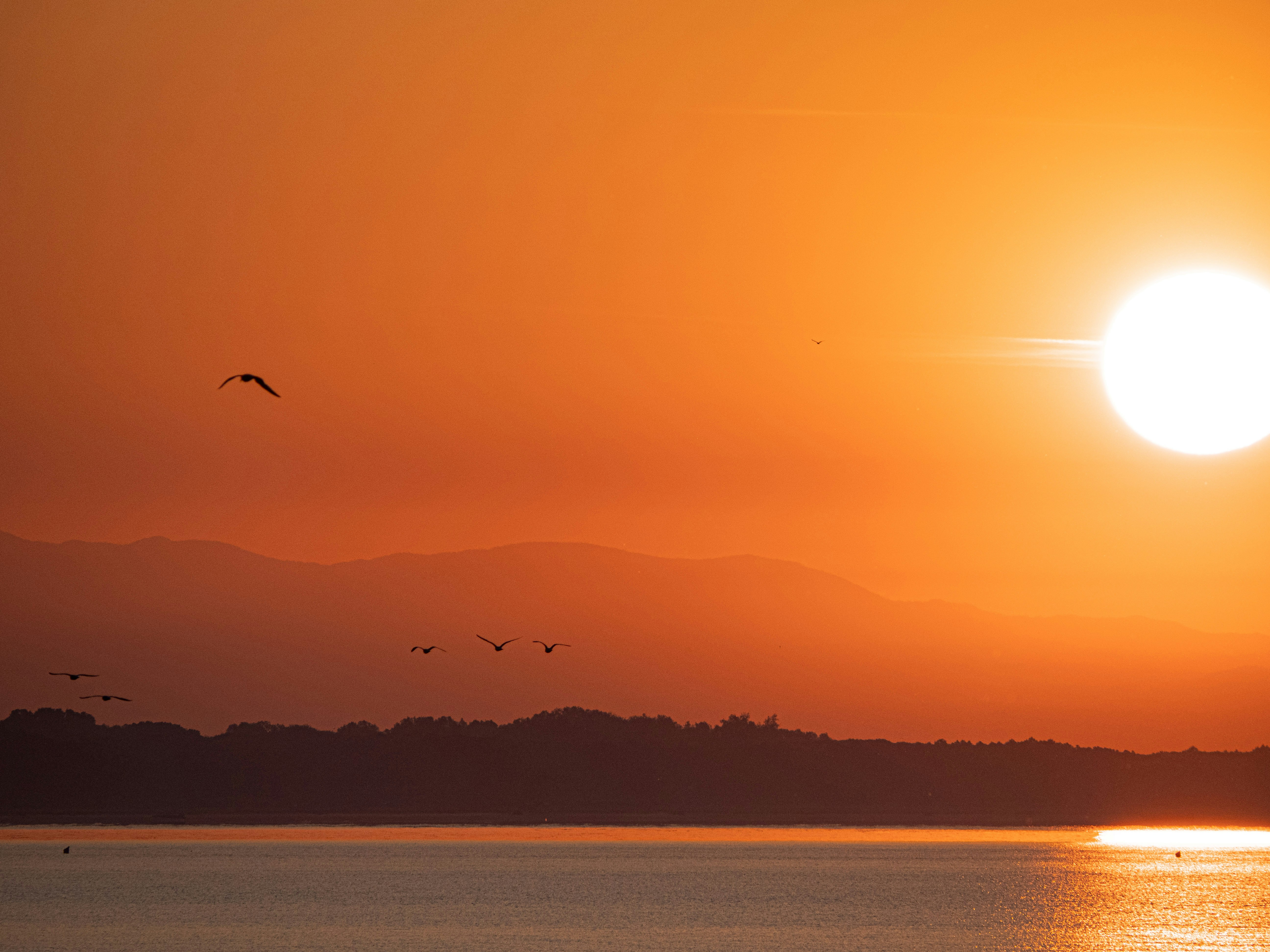 Photo by gopitri_prem