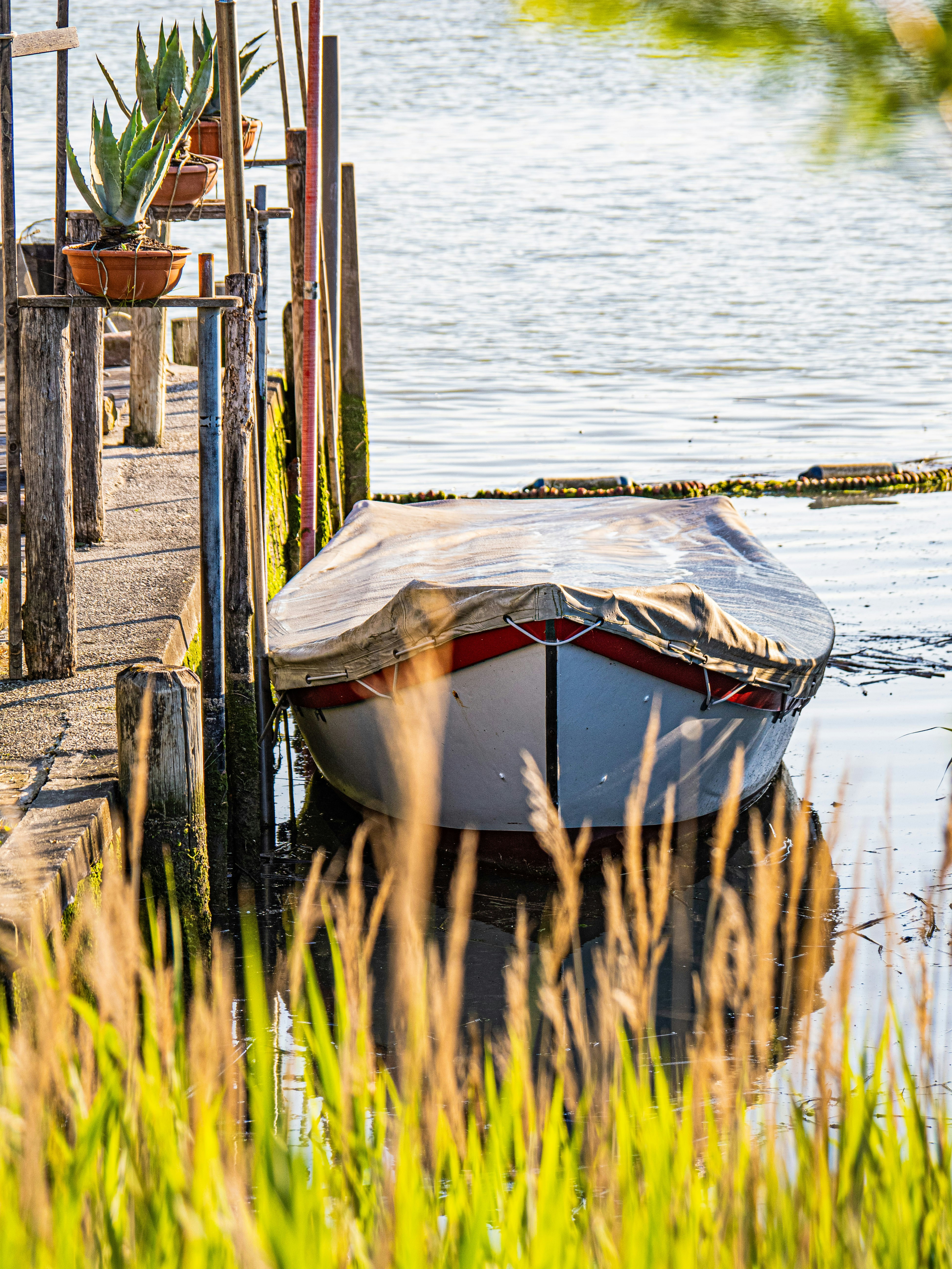 Photo by gopitri_prem