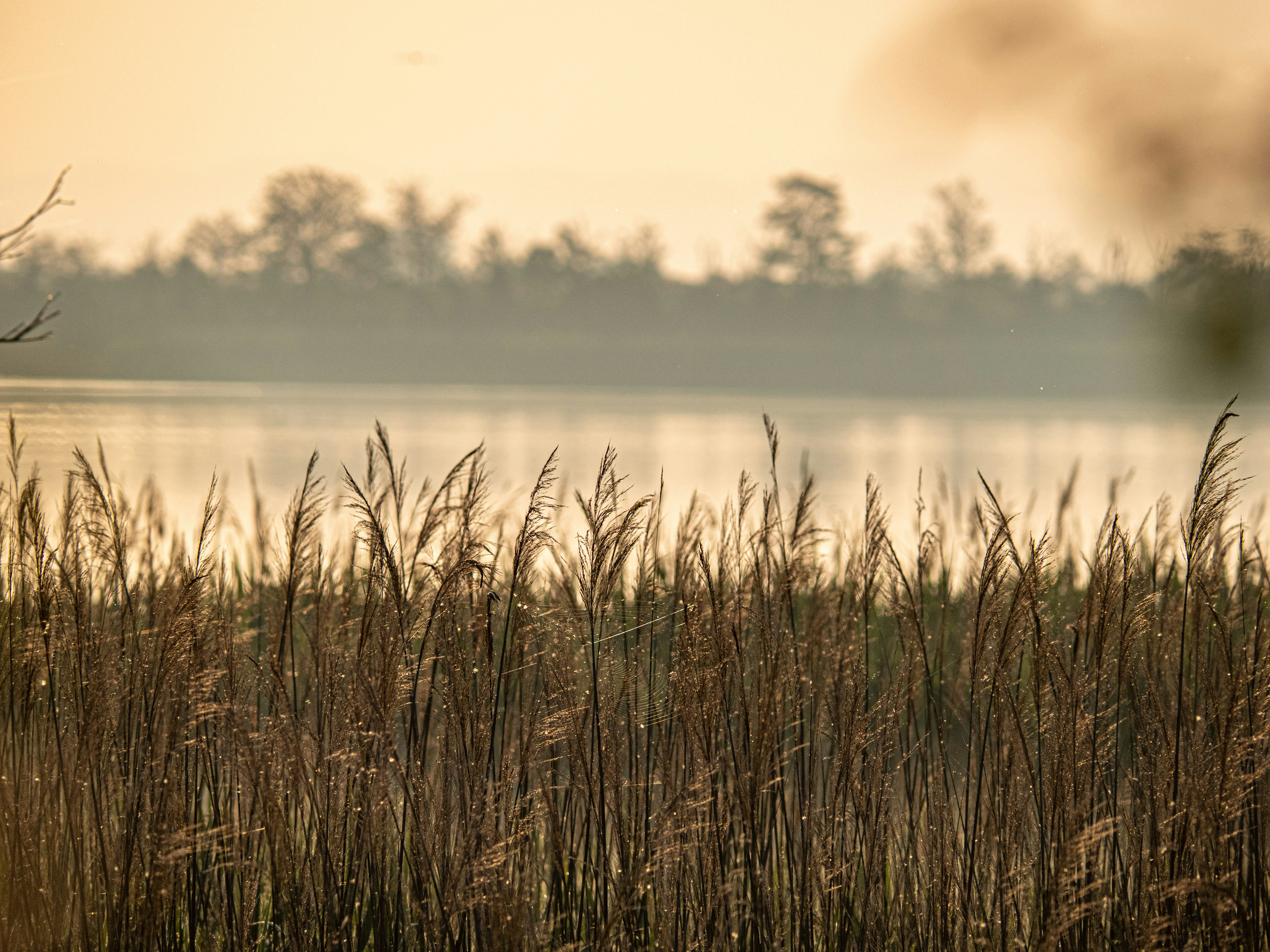 Photo by gopitri_prem