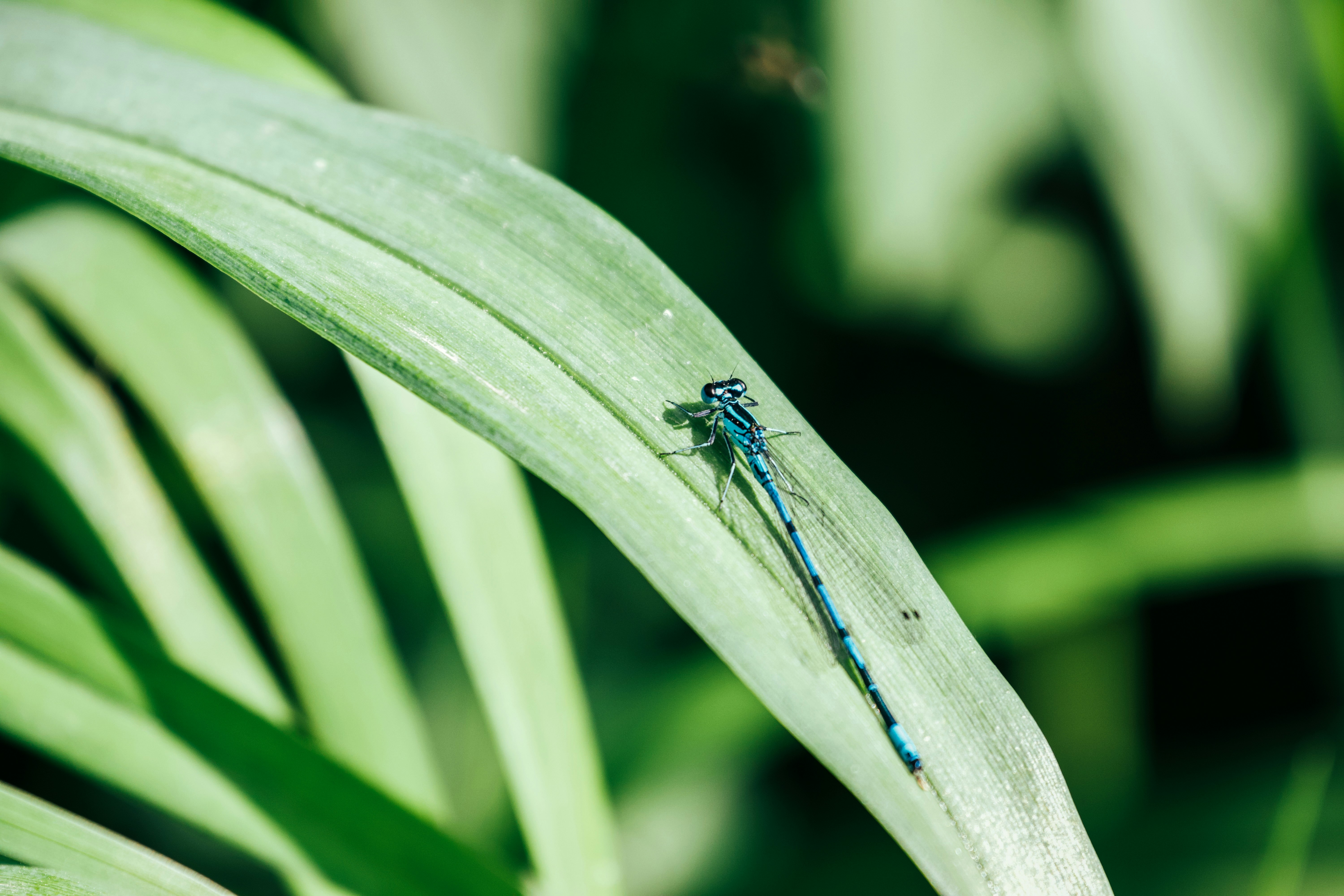 Photo by jakub_neskora