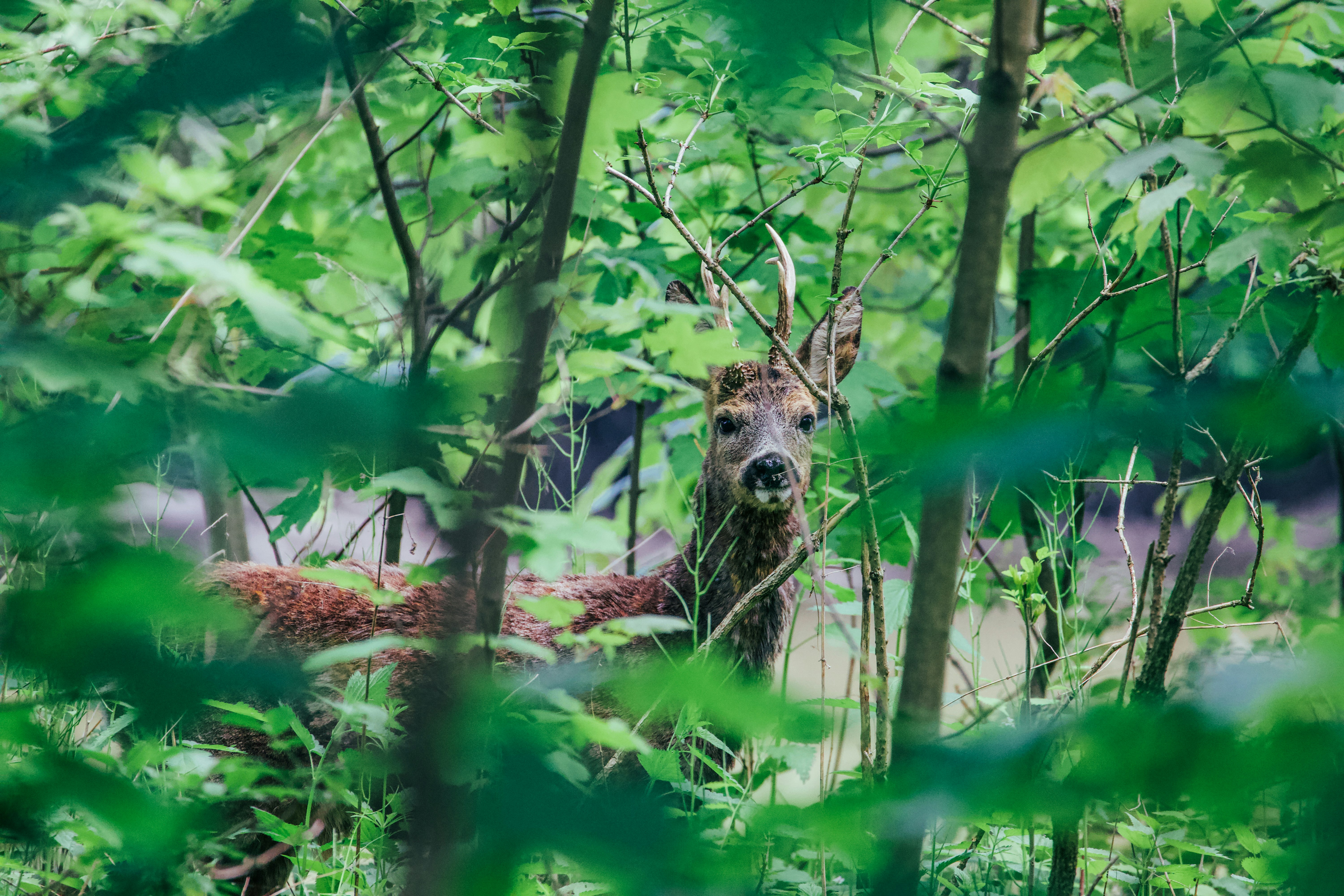 Photo by jakub_neskora