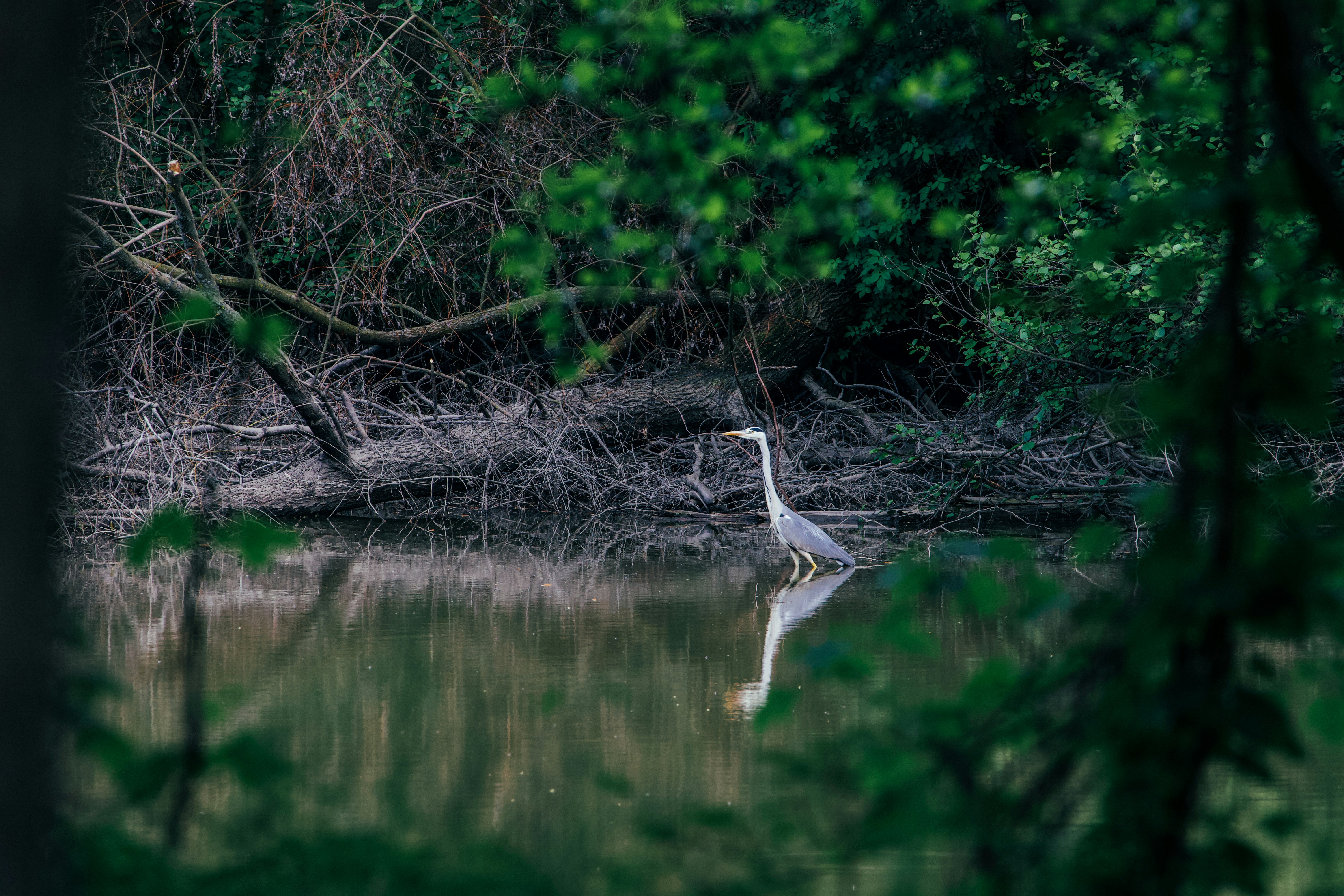Photo by jakub_neskora