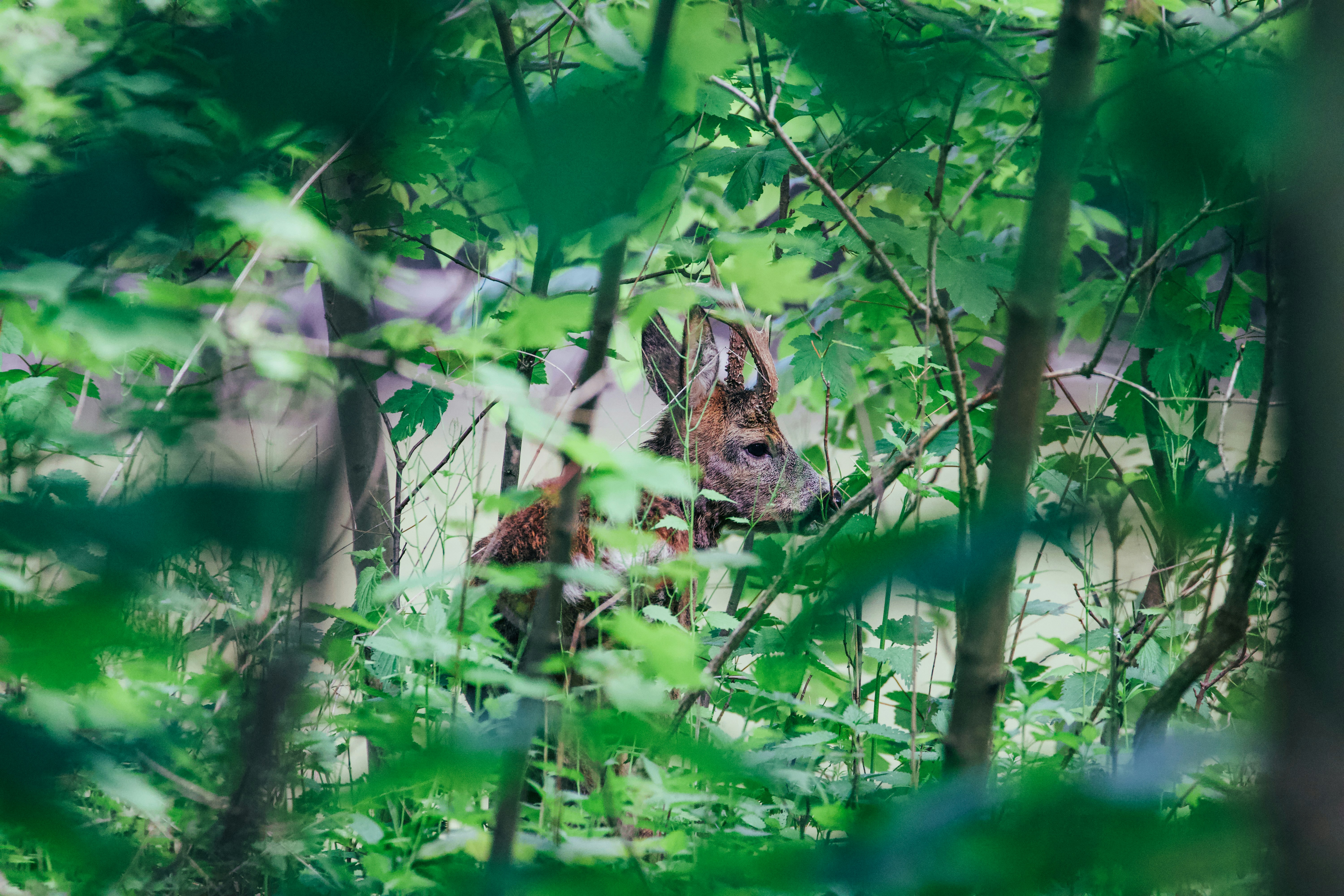 Photo by jakub_neskora