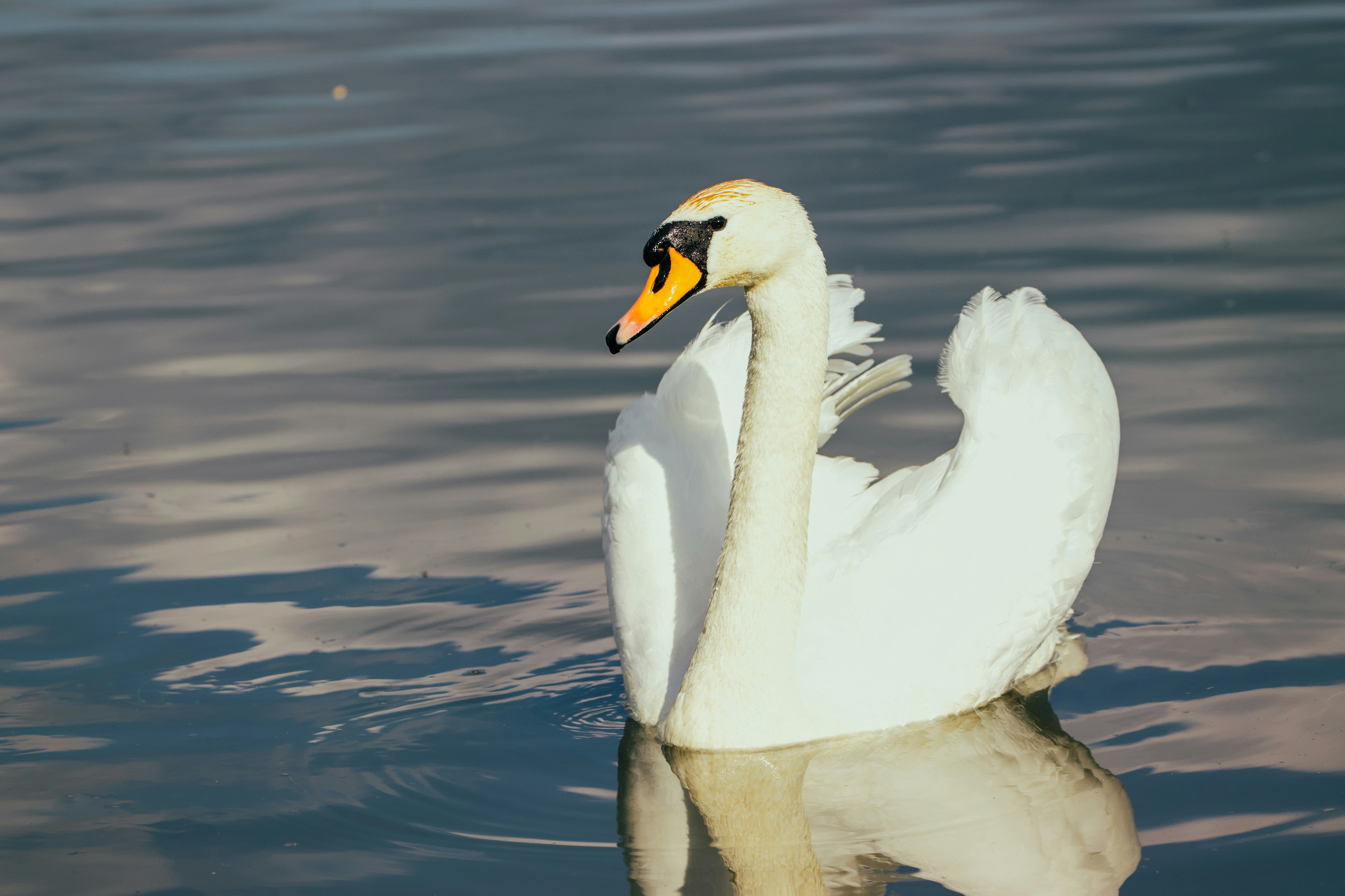 Photo by jakub_neskora