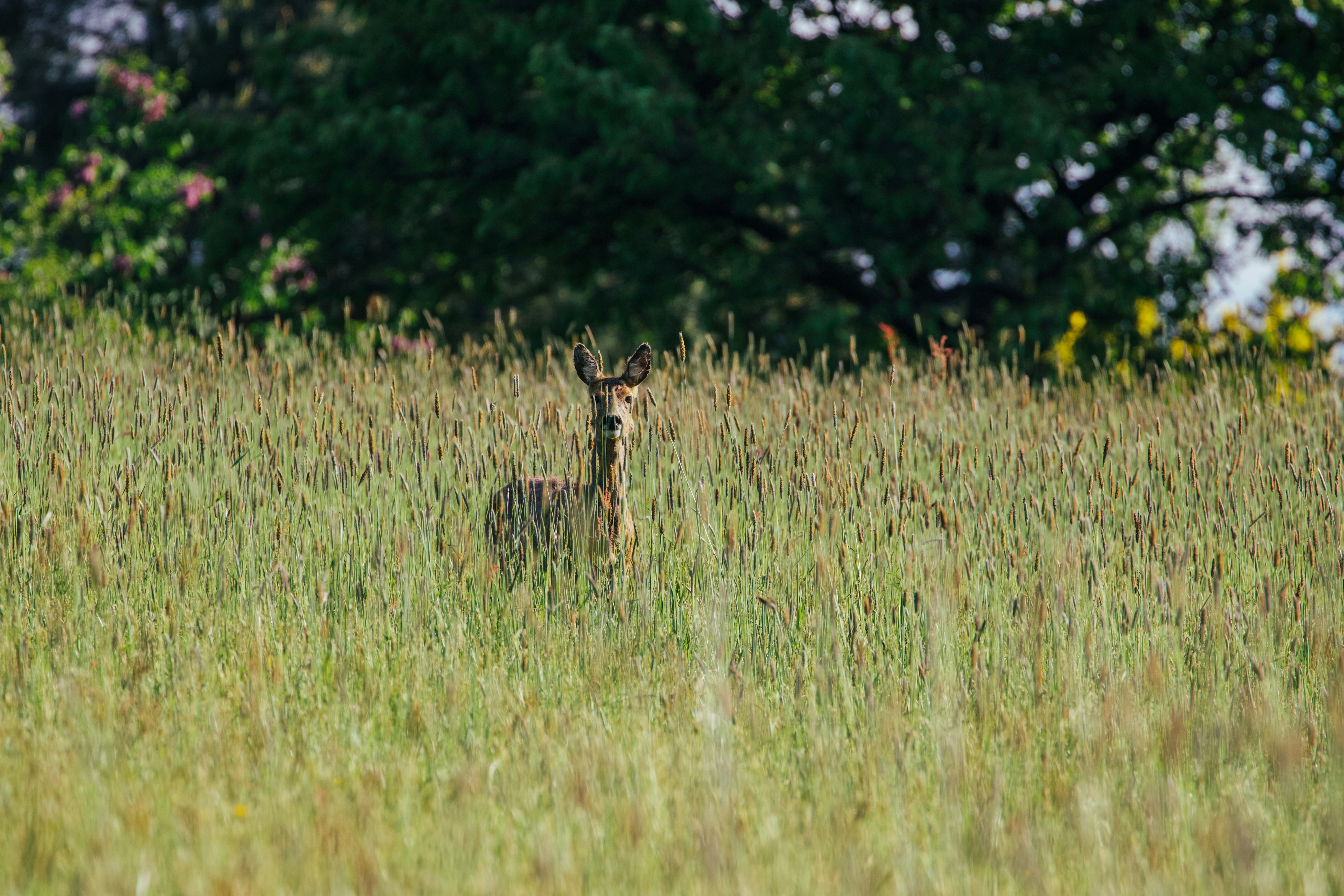 Photo by jakub_neskora