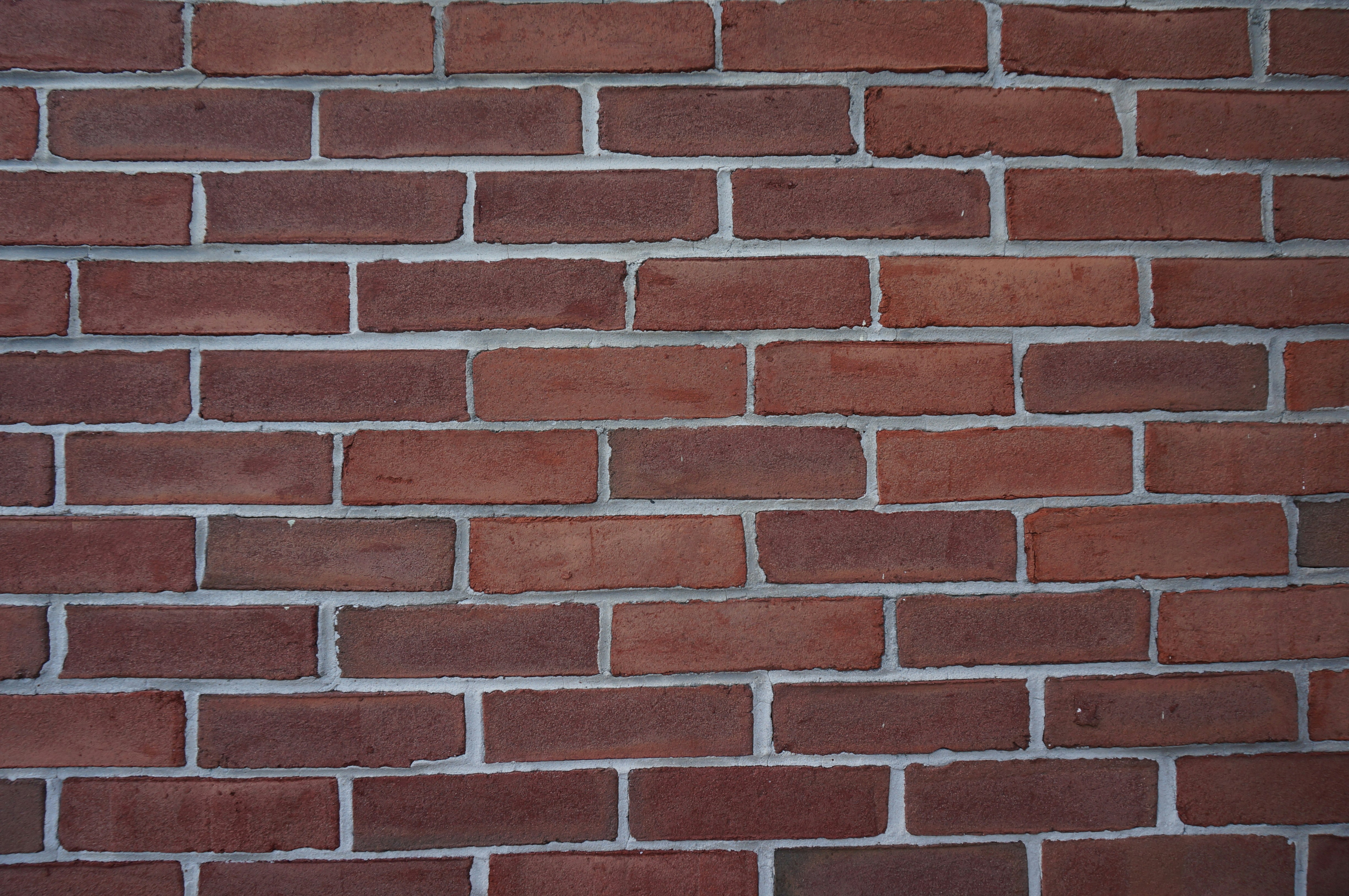 Photo by sugargirl333