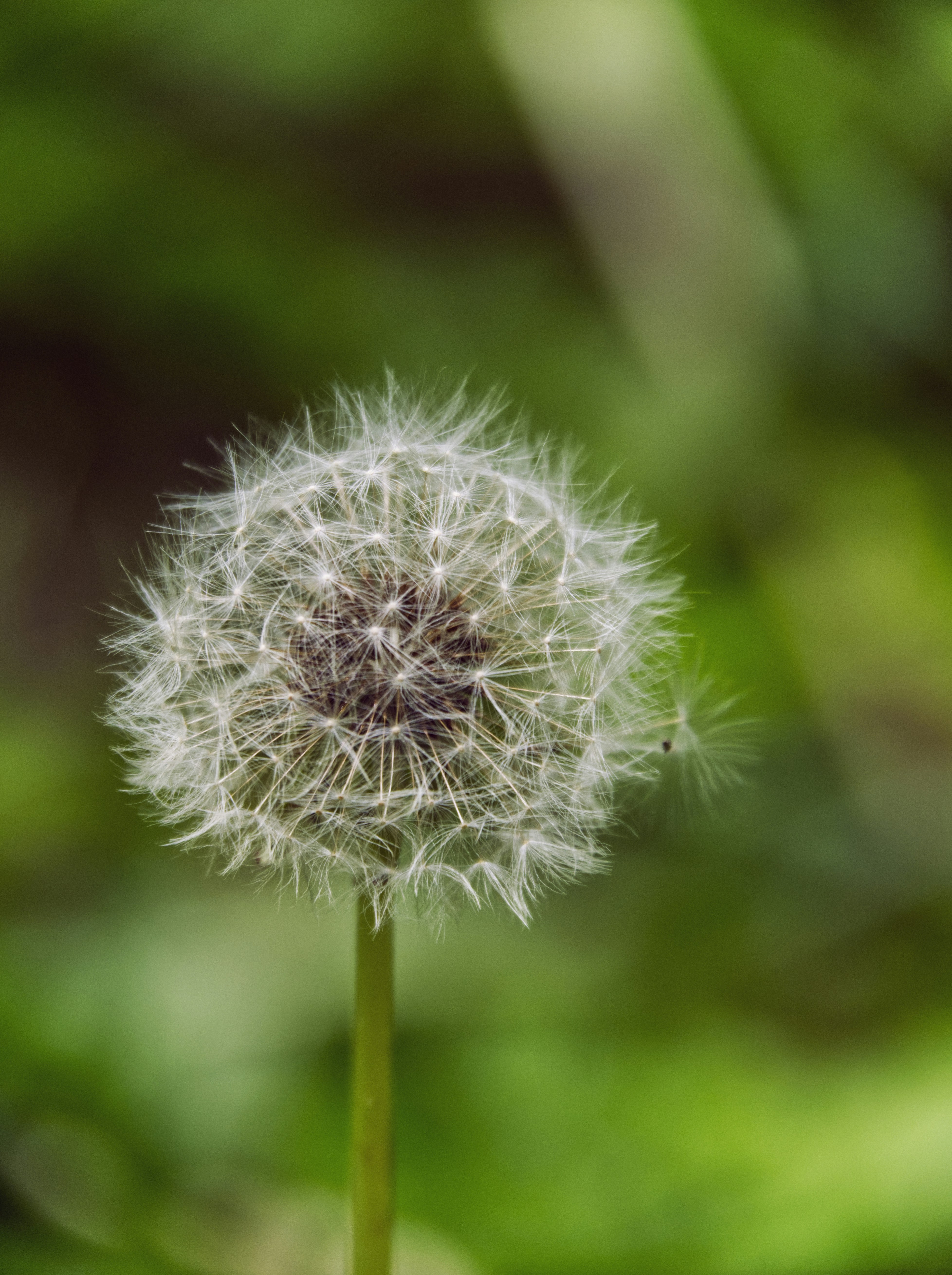 Photo by theskytales