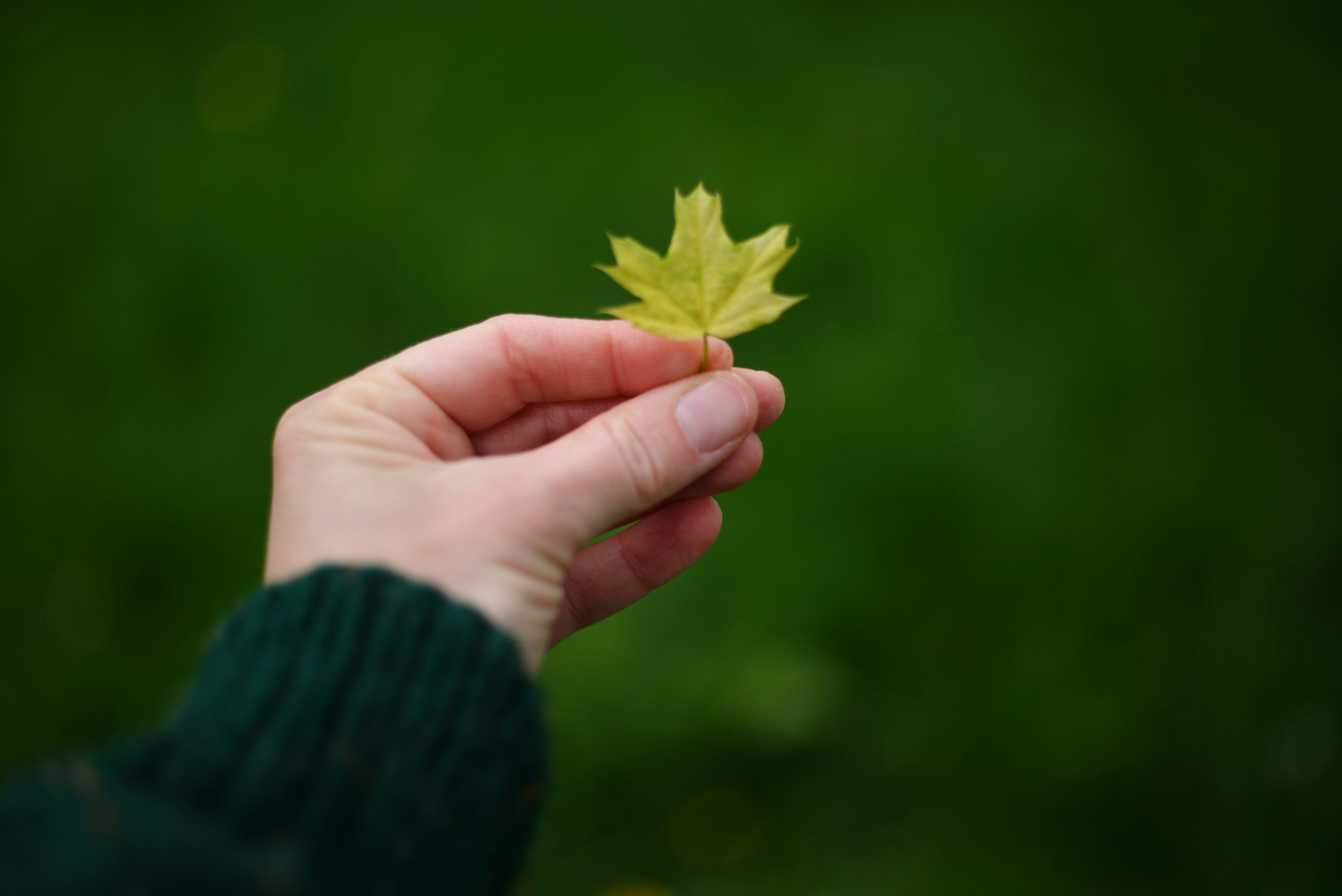 Photo by cherstve_pechivo