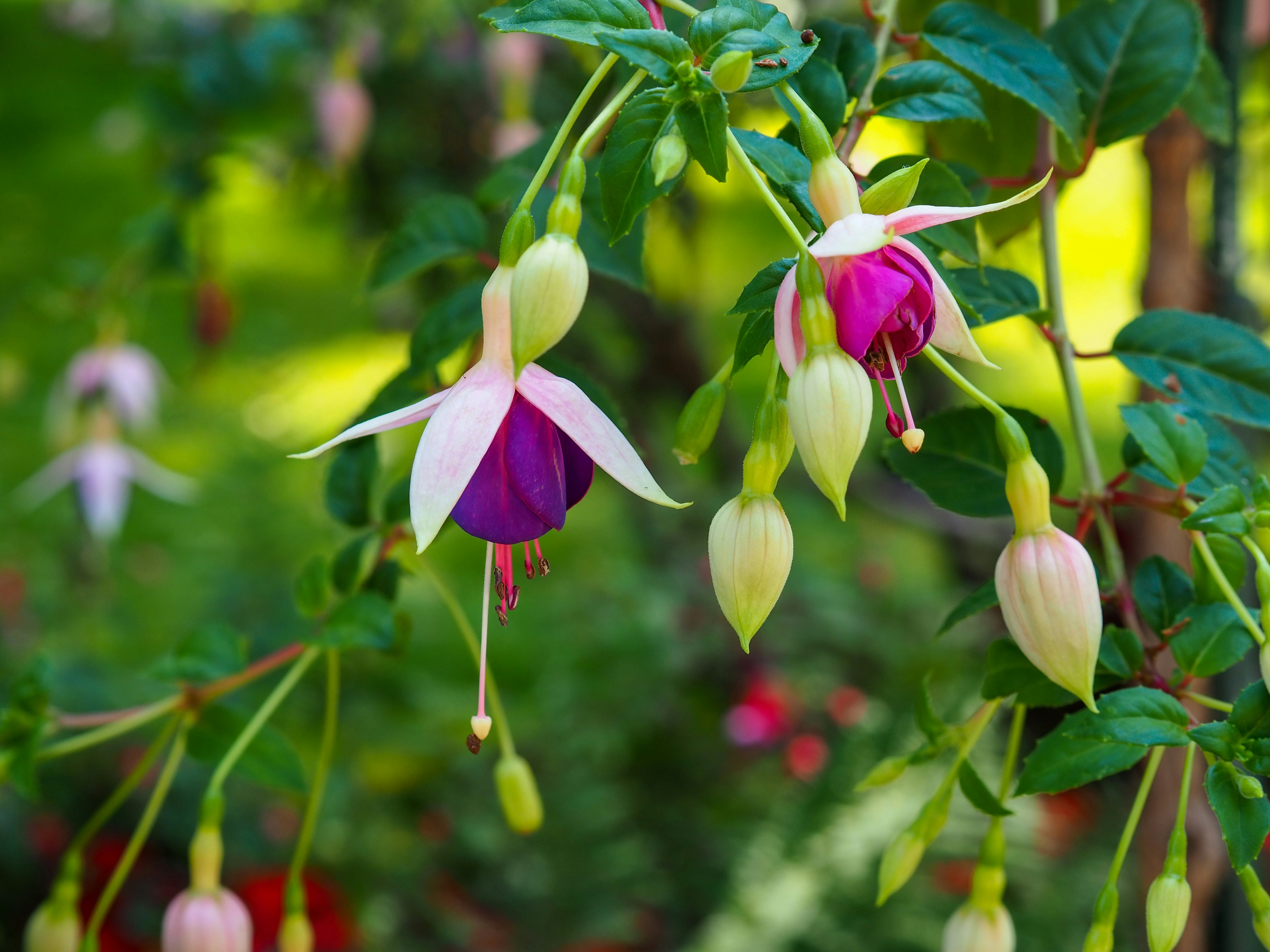 Photo by leonieseverine