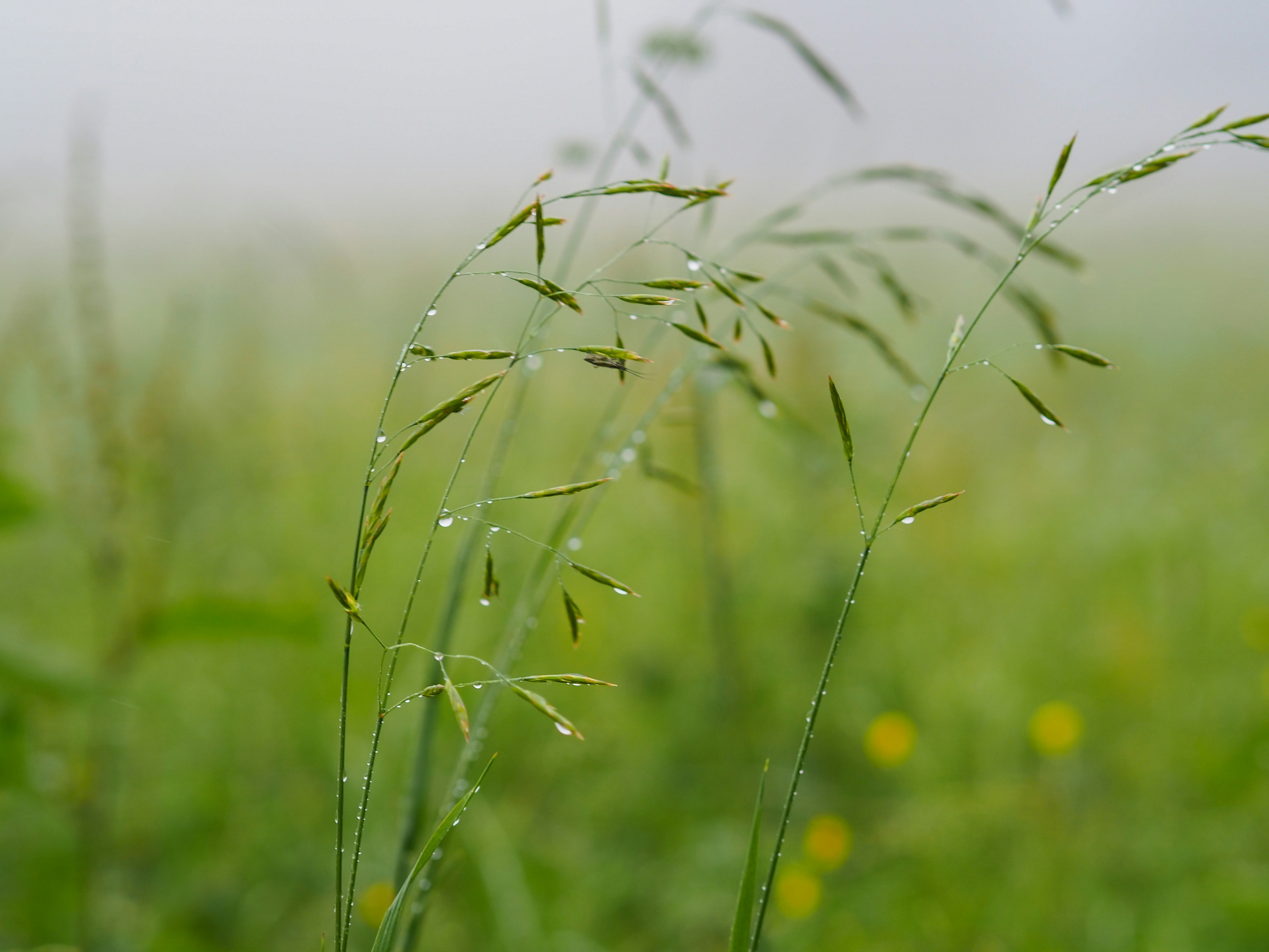 Photo by leonieseverine