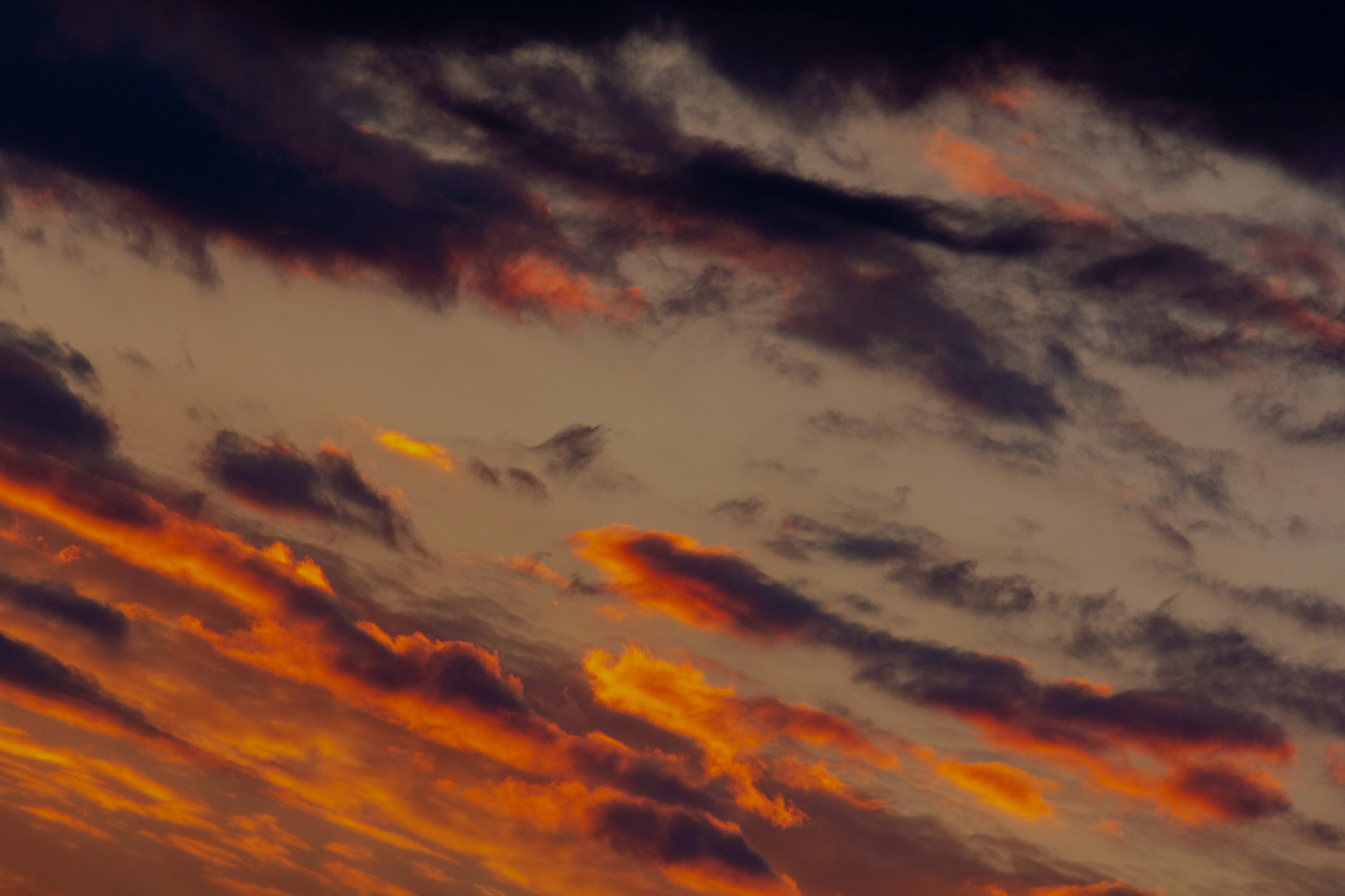 Photo by maciejka_dslr