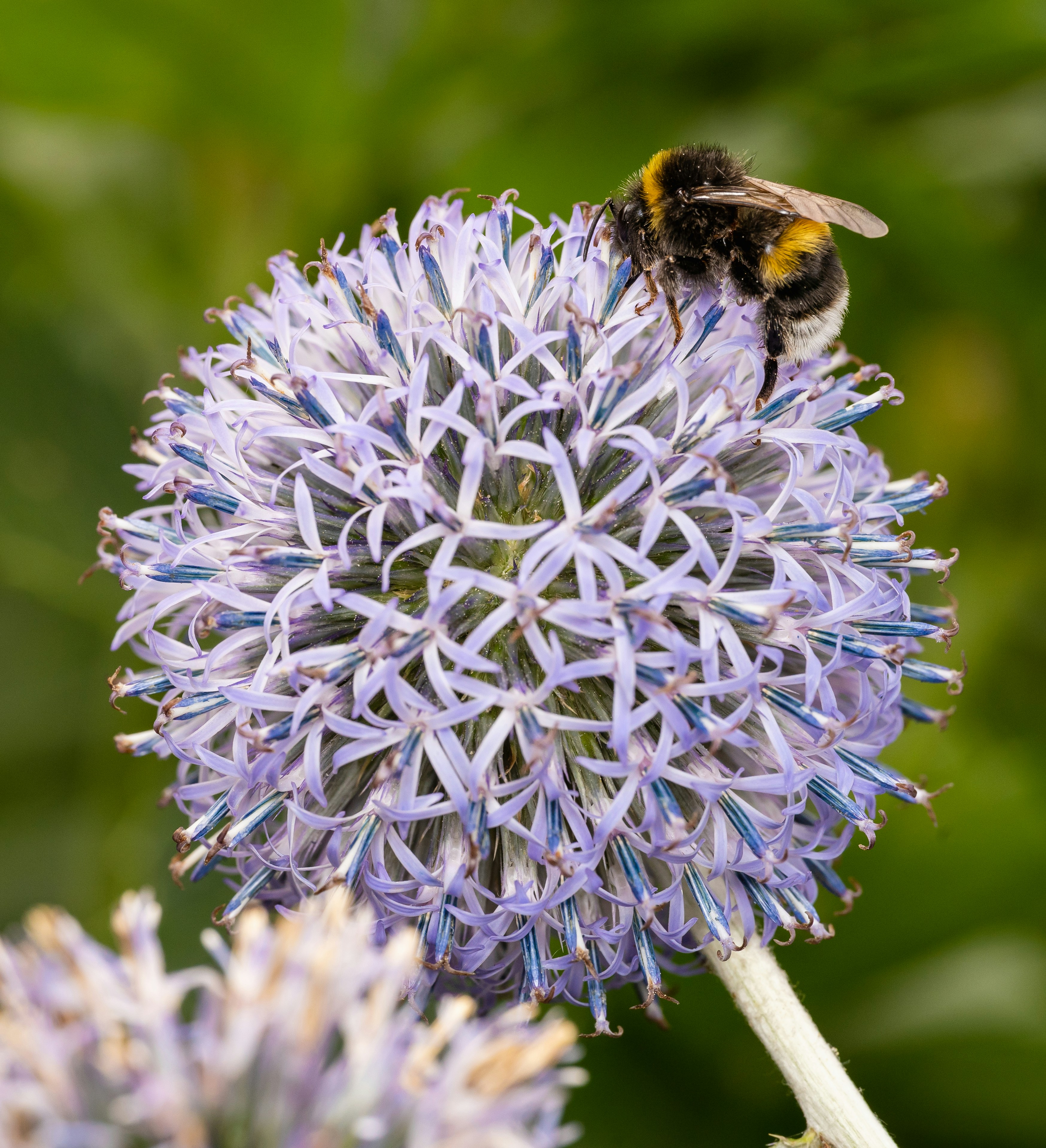 Photo by photonchaser