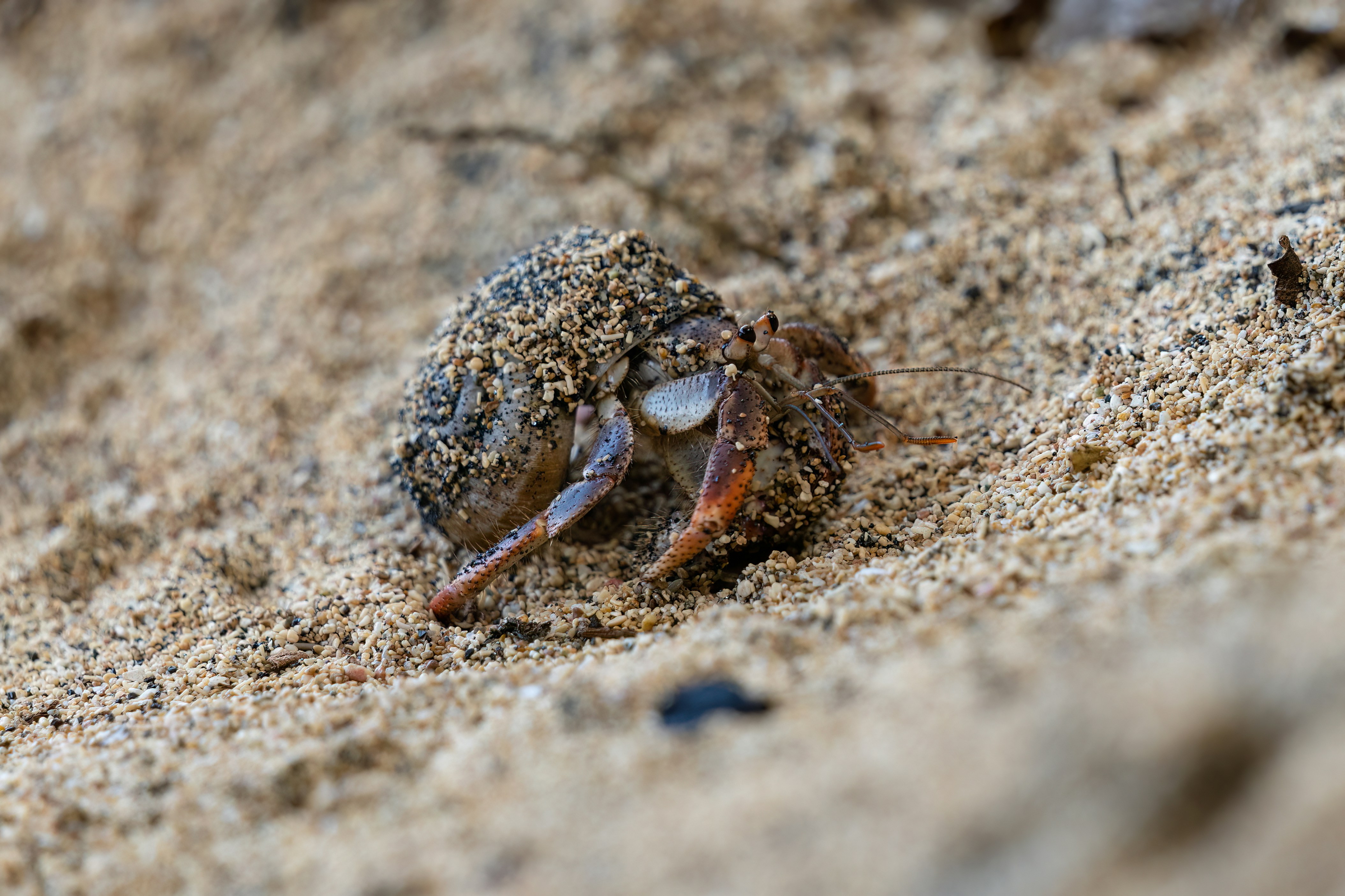 Photo by photonchaser