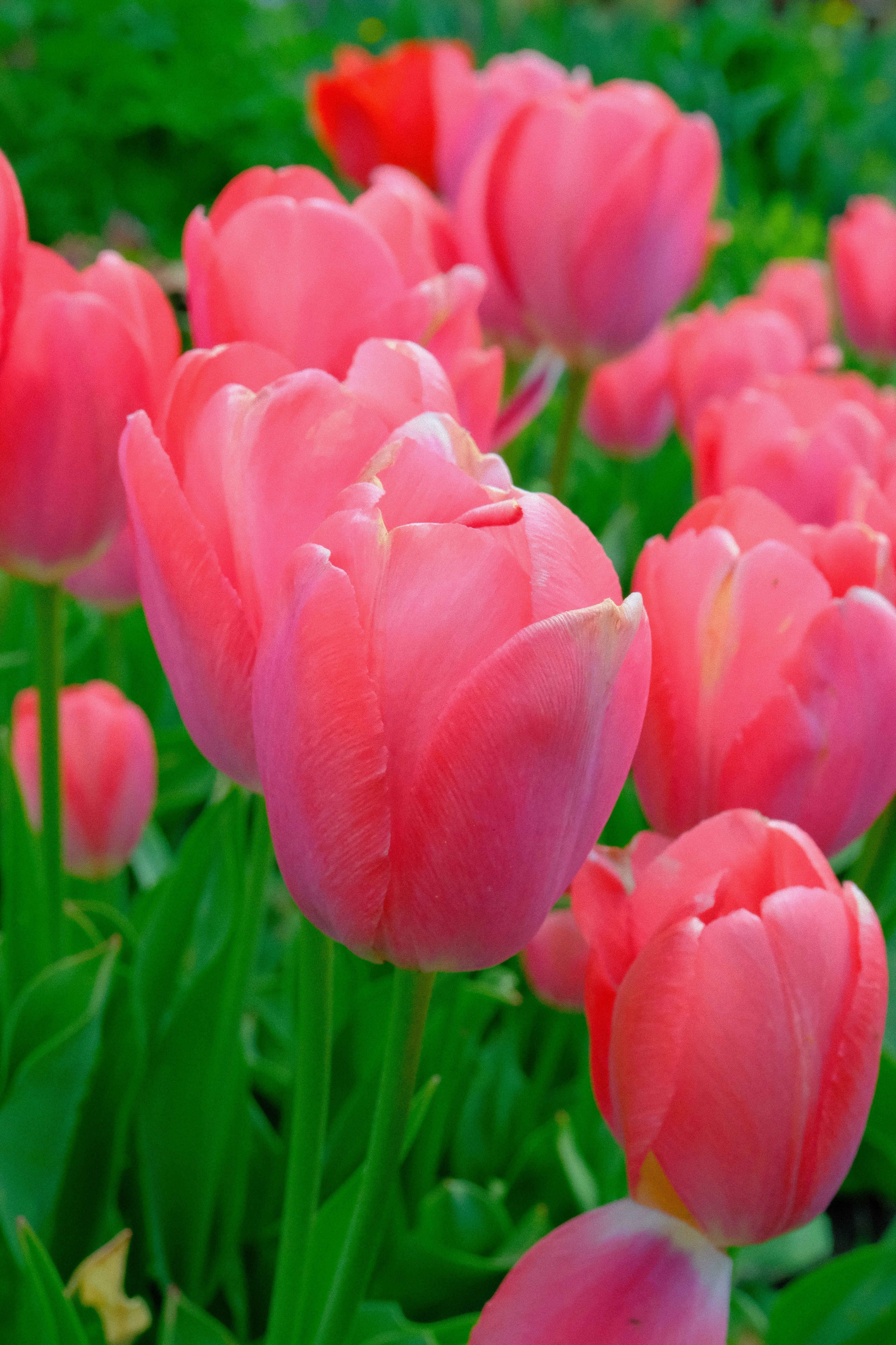 Photo by tatianarudneva