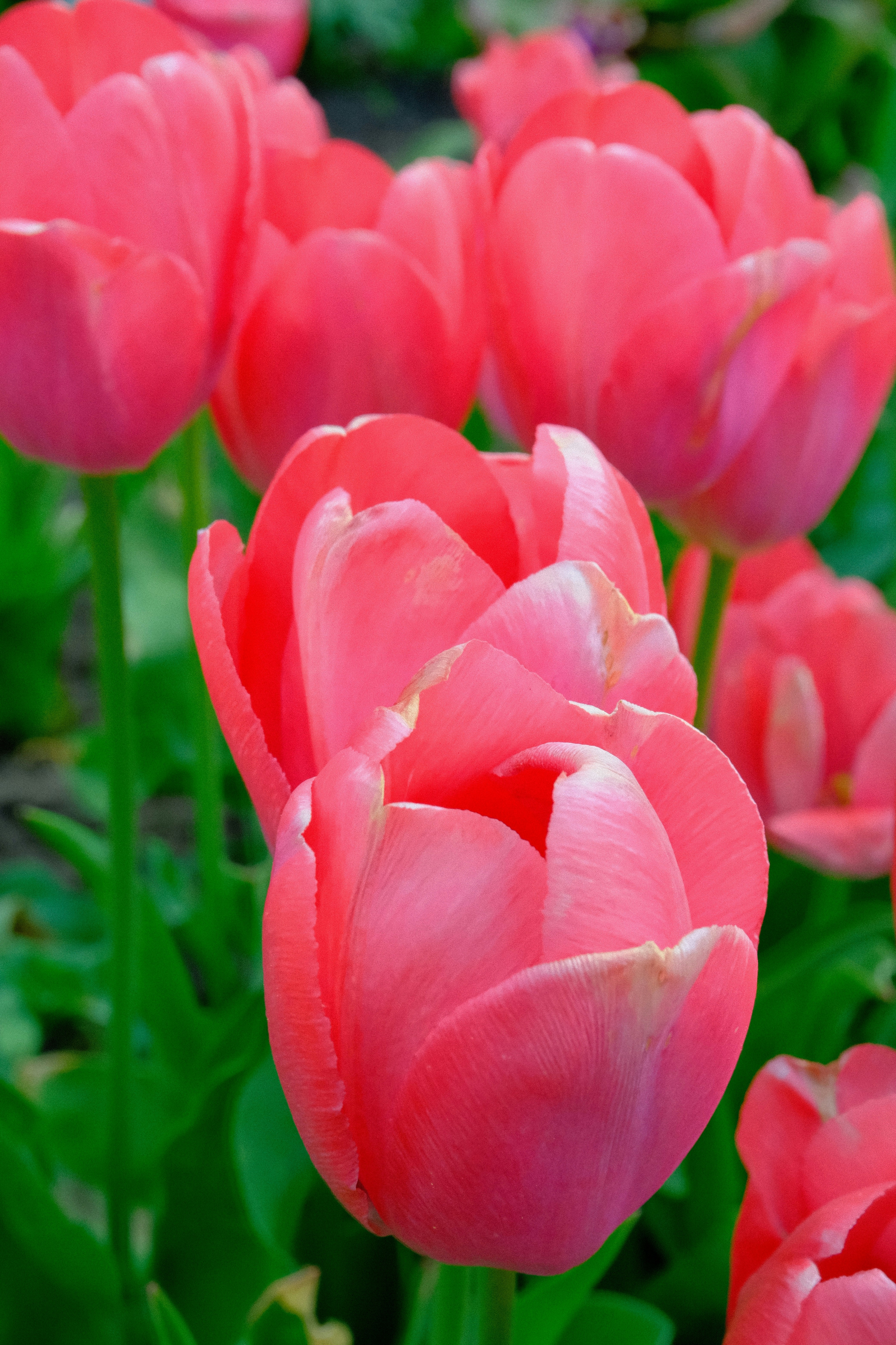 Photo by tatianarudneva