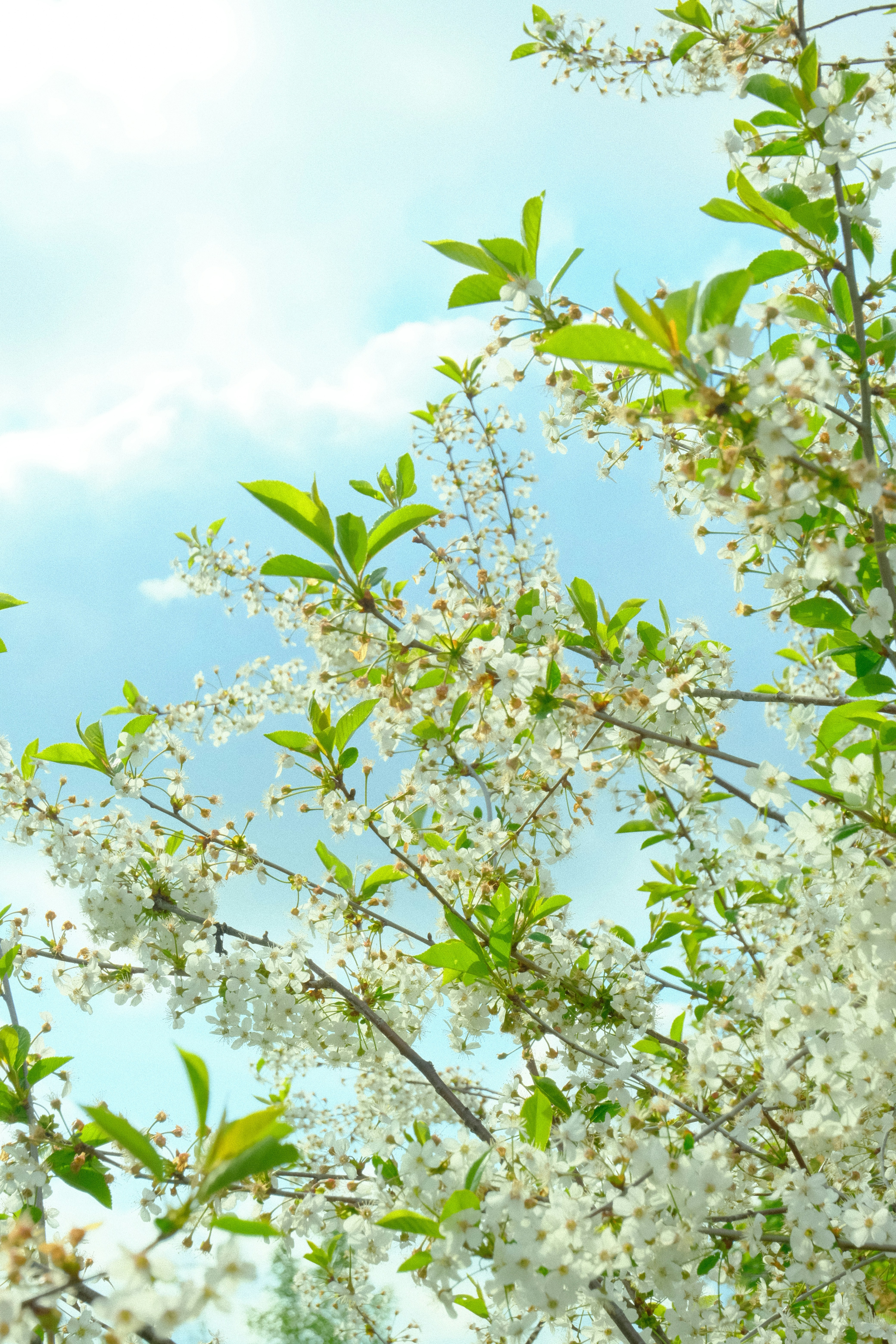 Photo by tatianarudneva