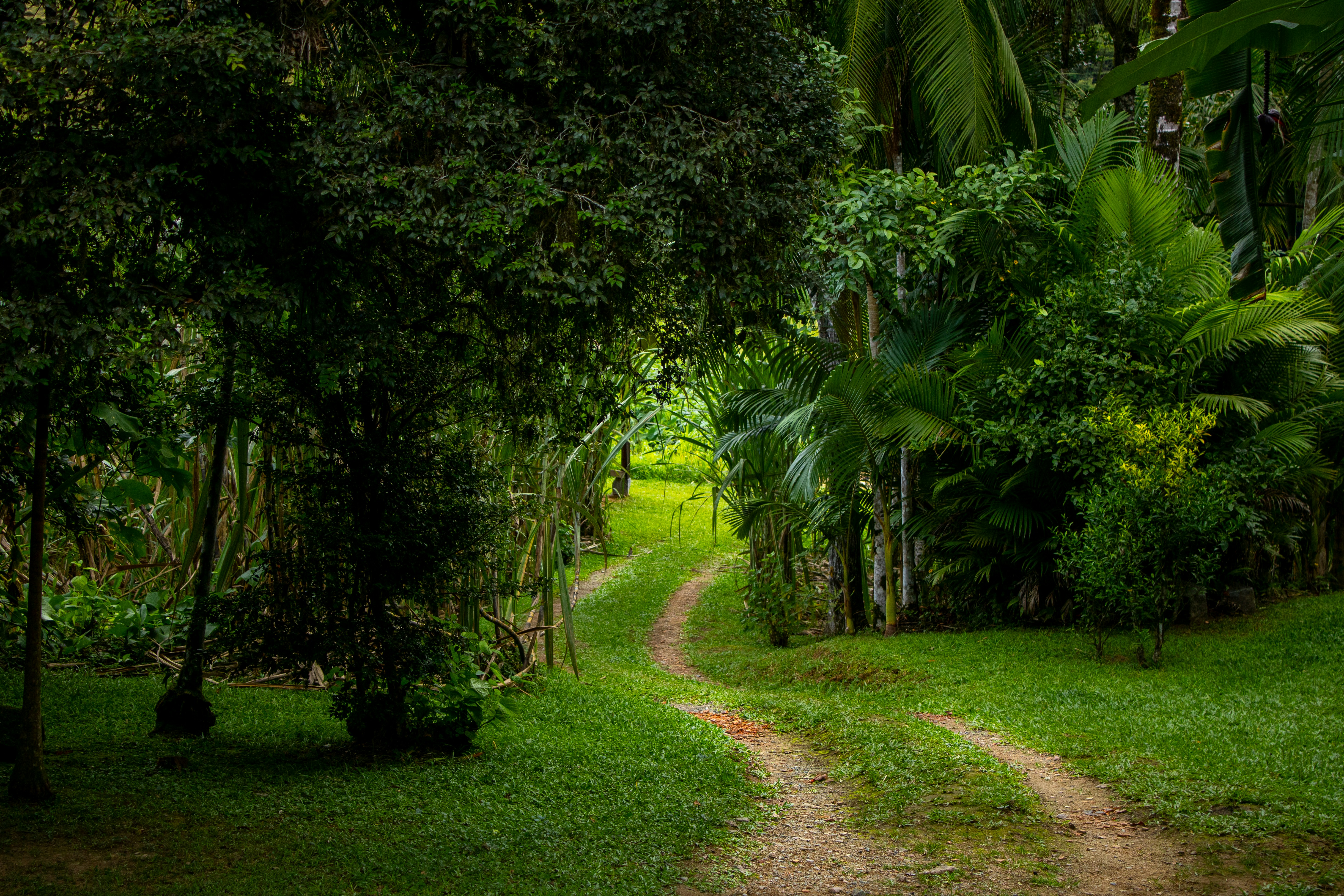 Photo by lerossiphotos