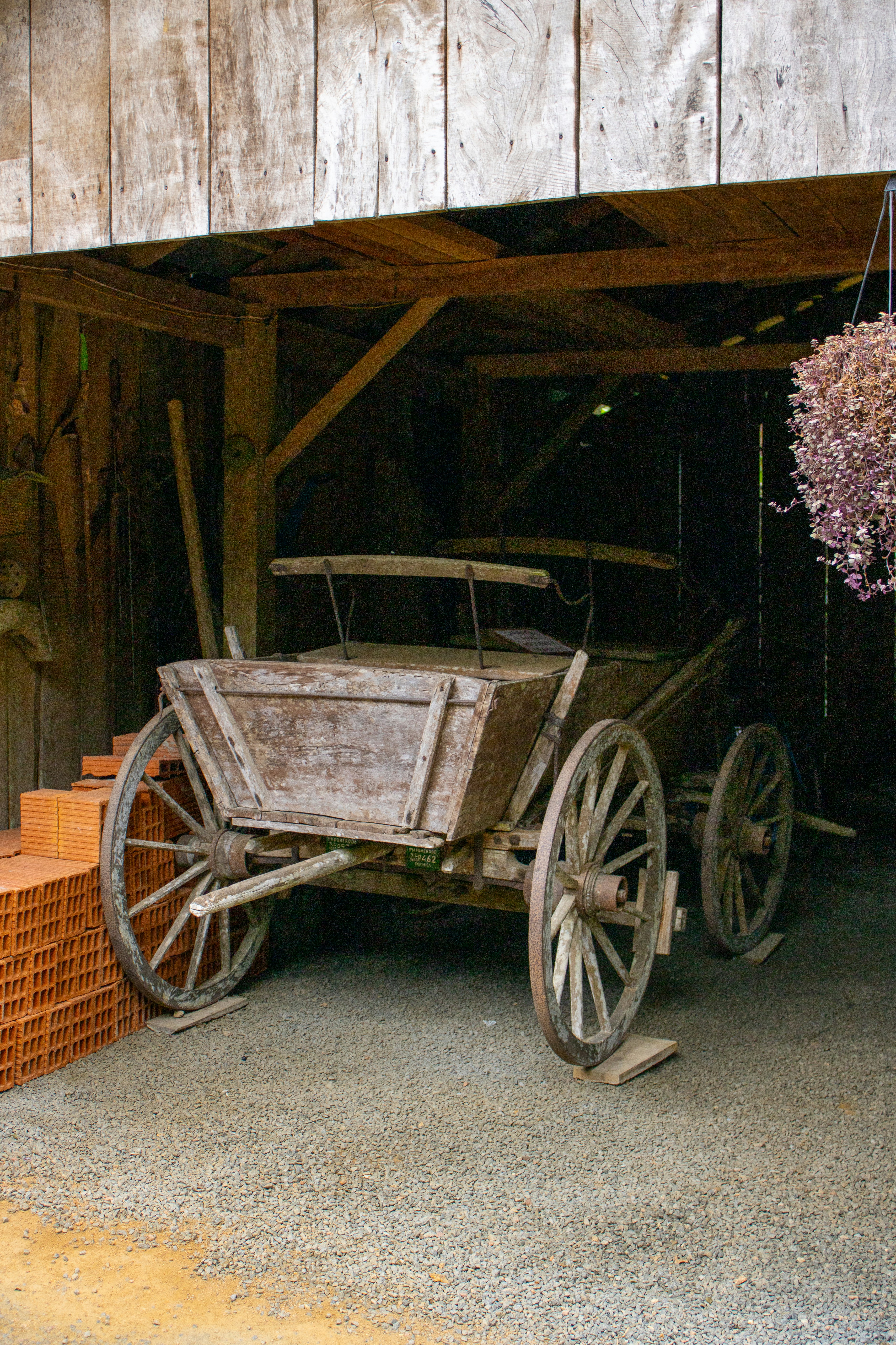 Photo by lerossiphotos