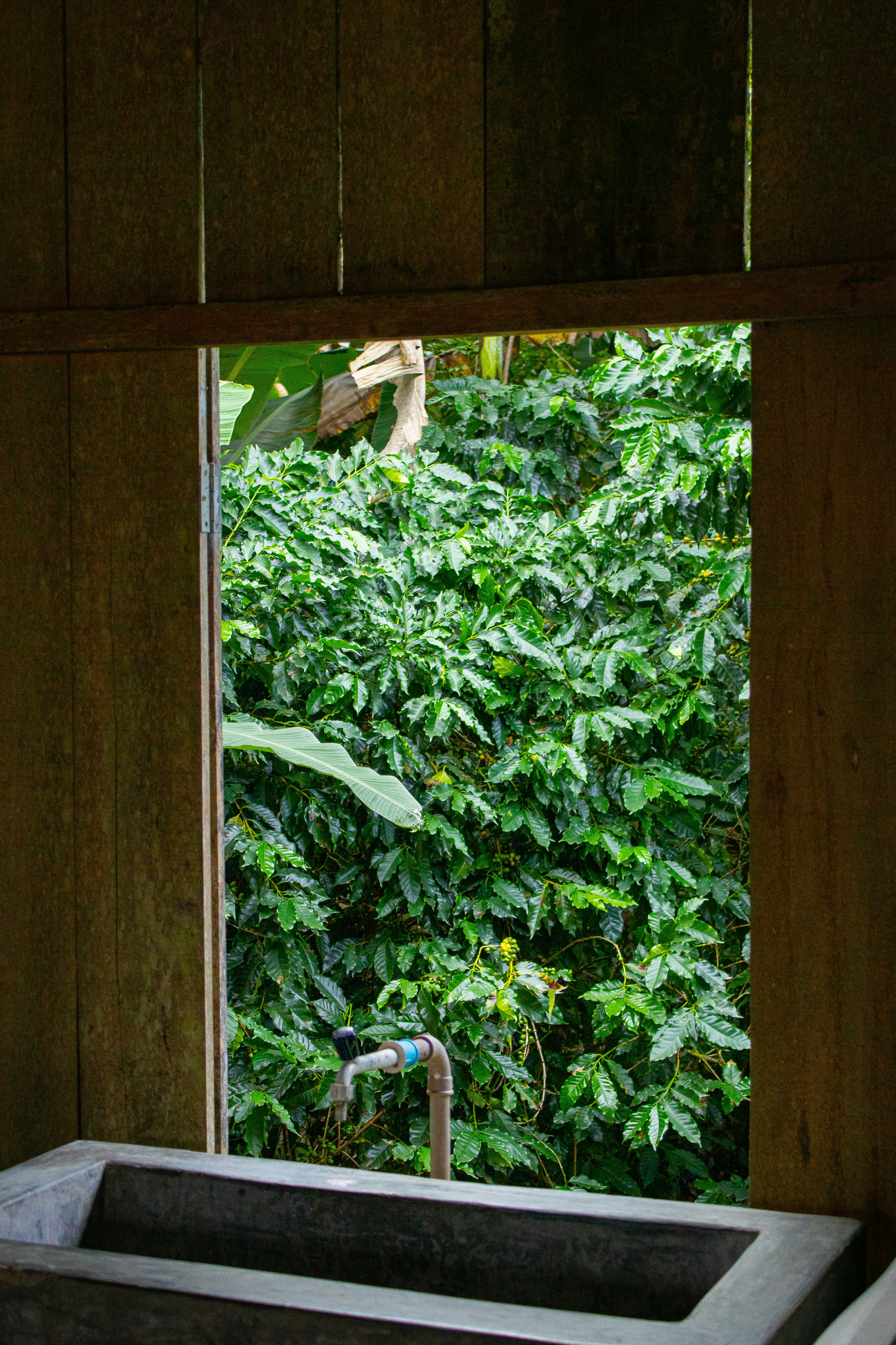 Photo by lerossiphotos