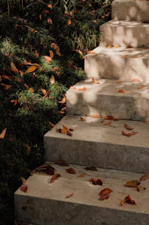 Concrete steps covered with fallen leaves