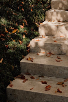 Concrete steps covered with fallen leaves