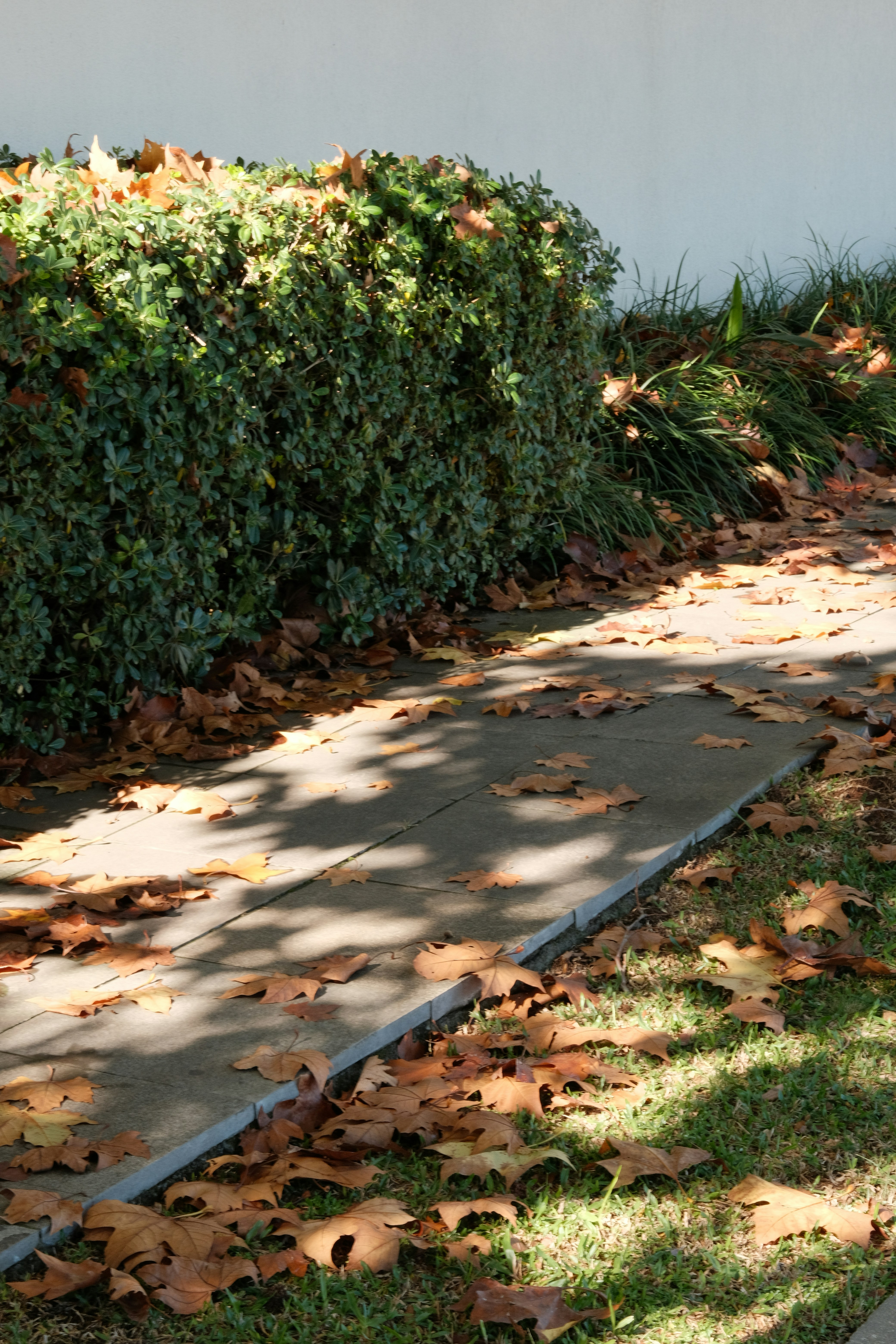 Installation process of a permeable pavement driveway