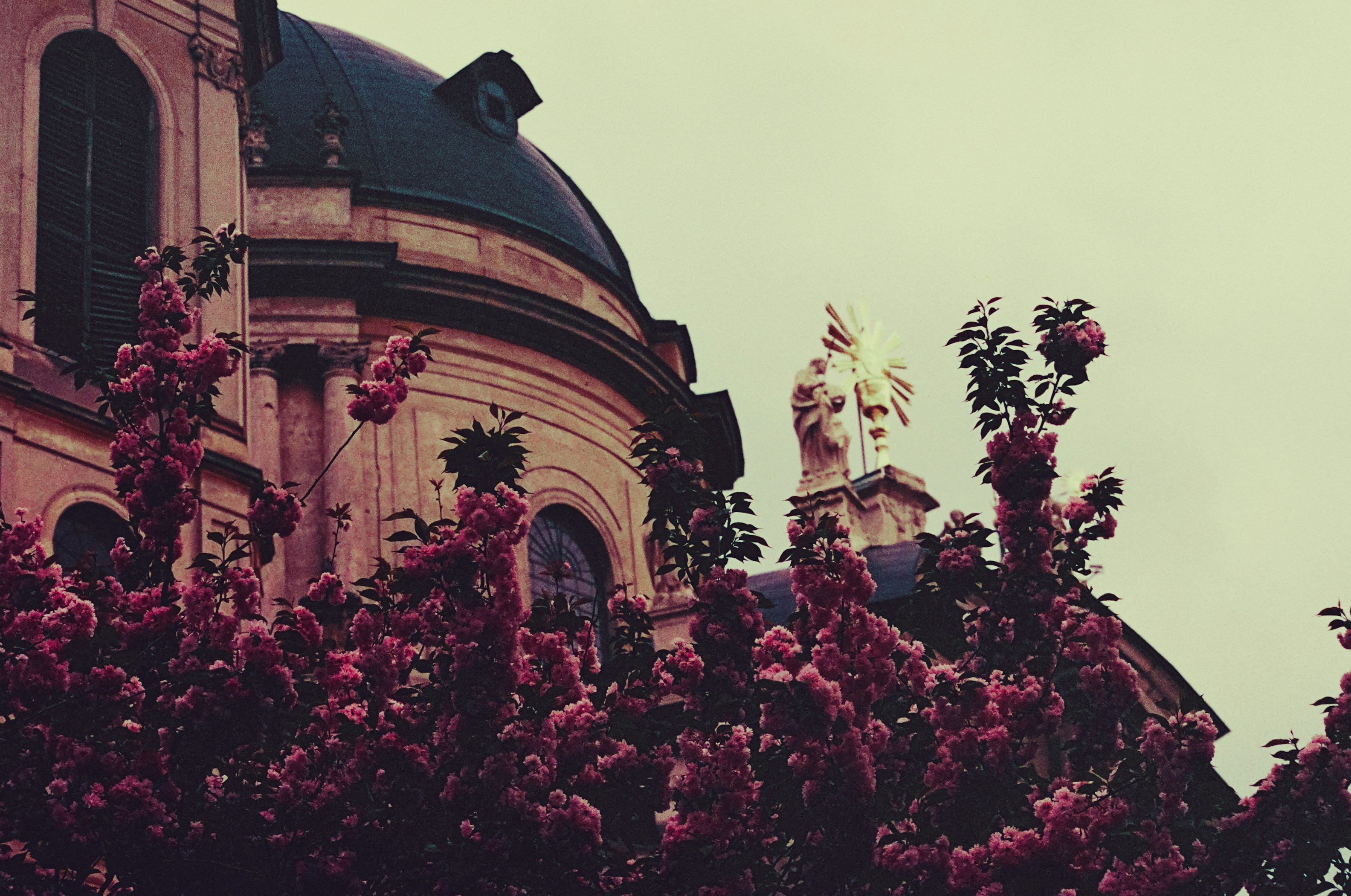 Photo by mineral_of_demon