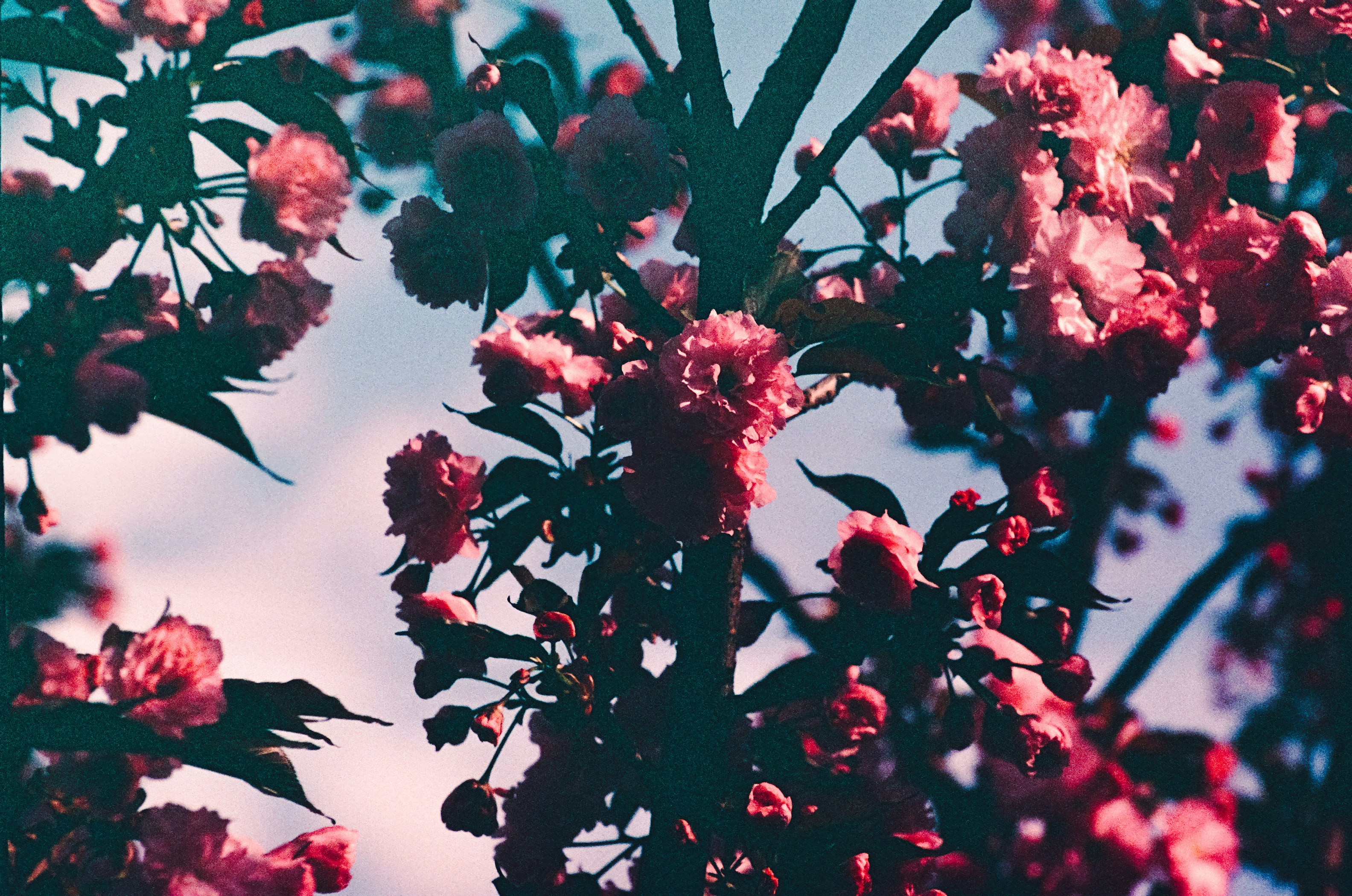 Photo by mineral_of_demon