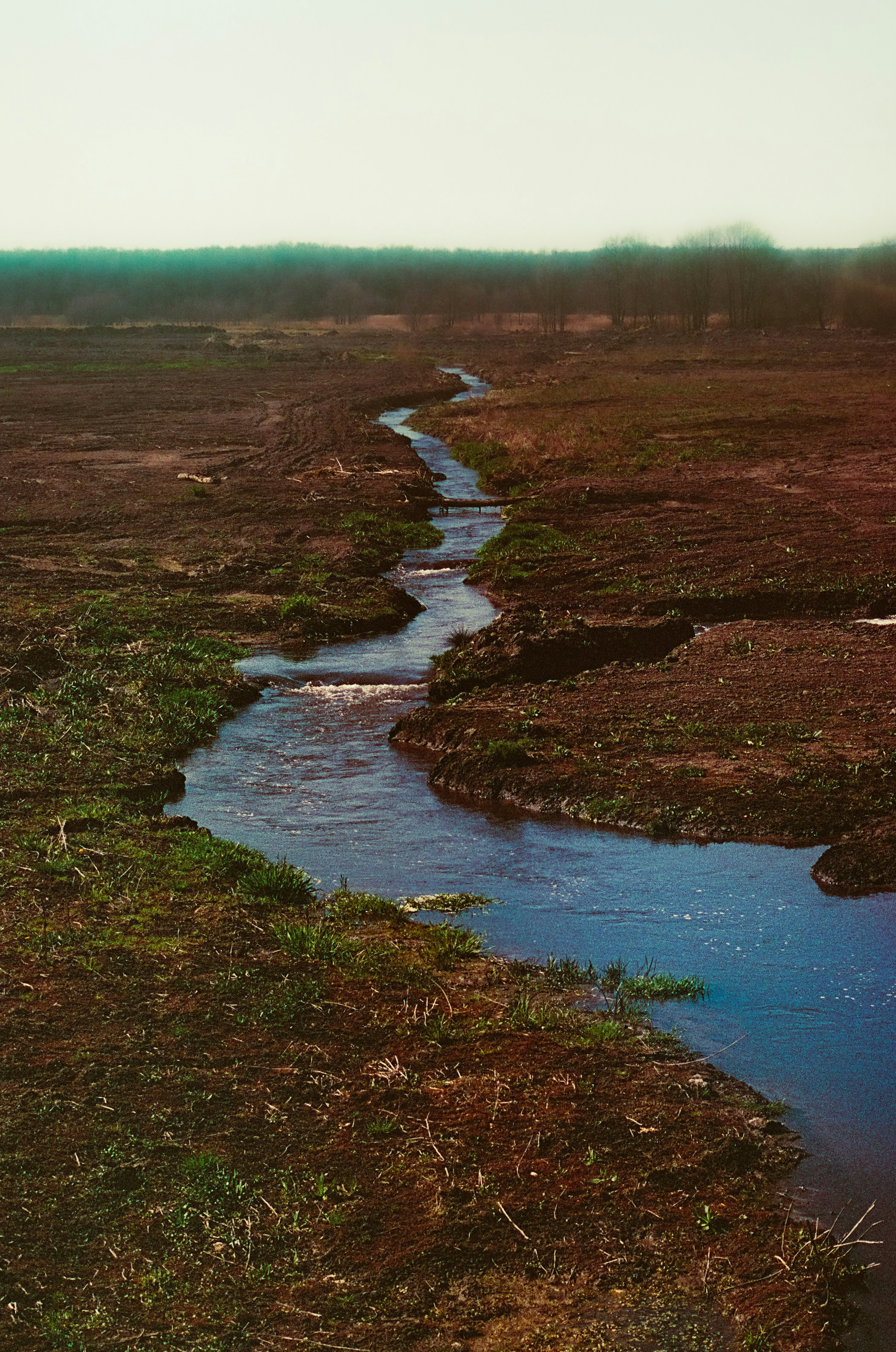 Photo by mineral_of_demon