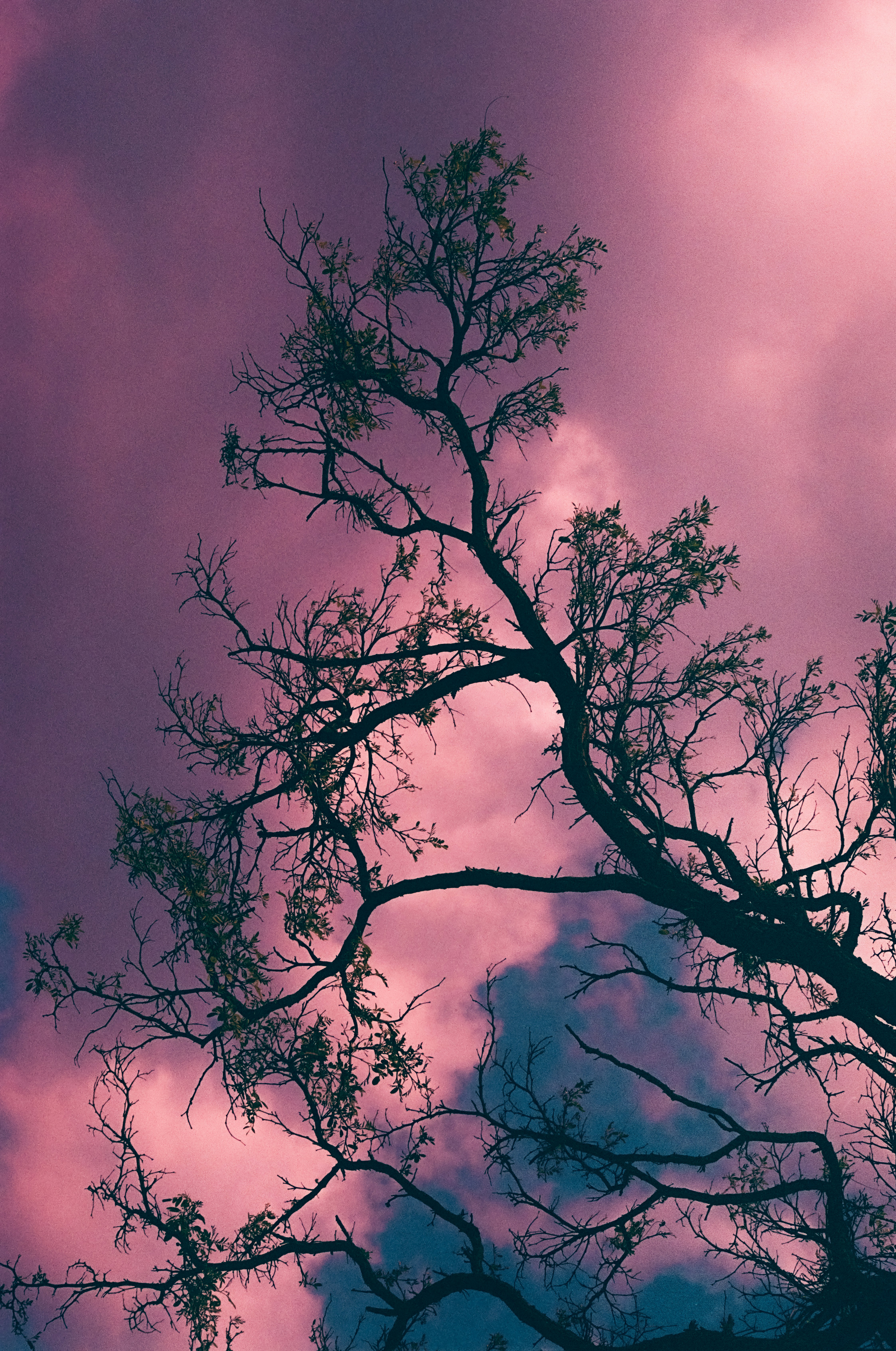 Photo by mineral_of_demon