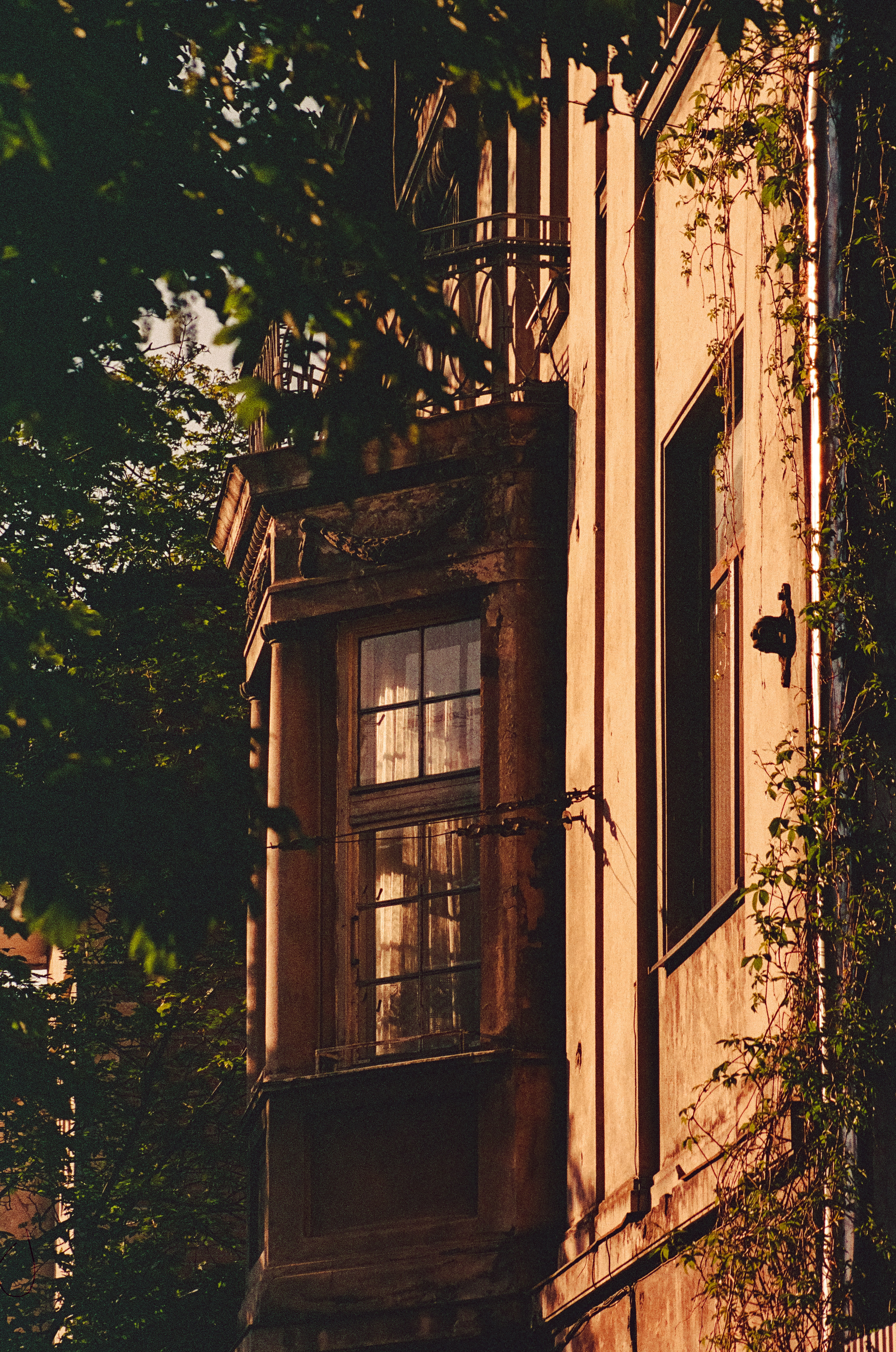 Photo by mineral_of_demon