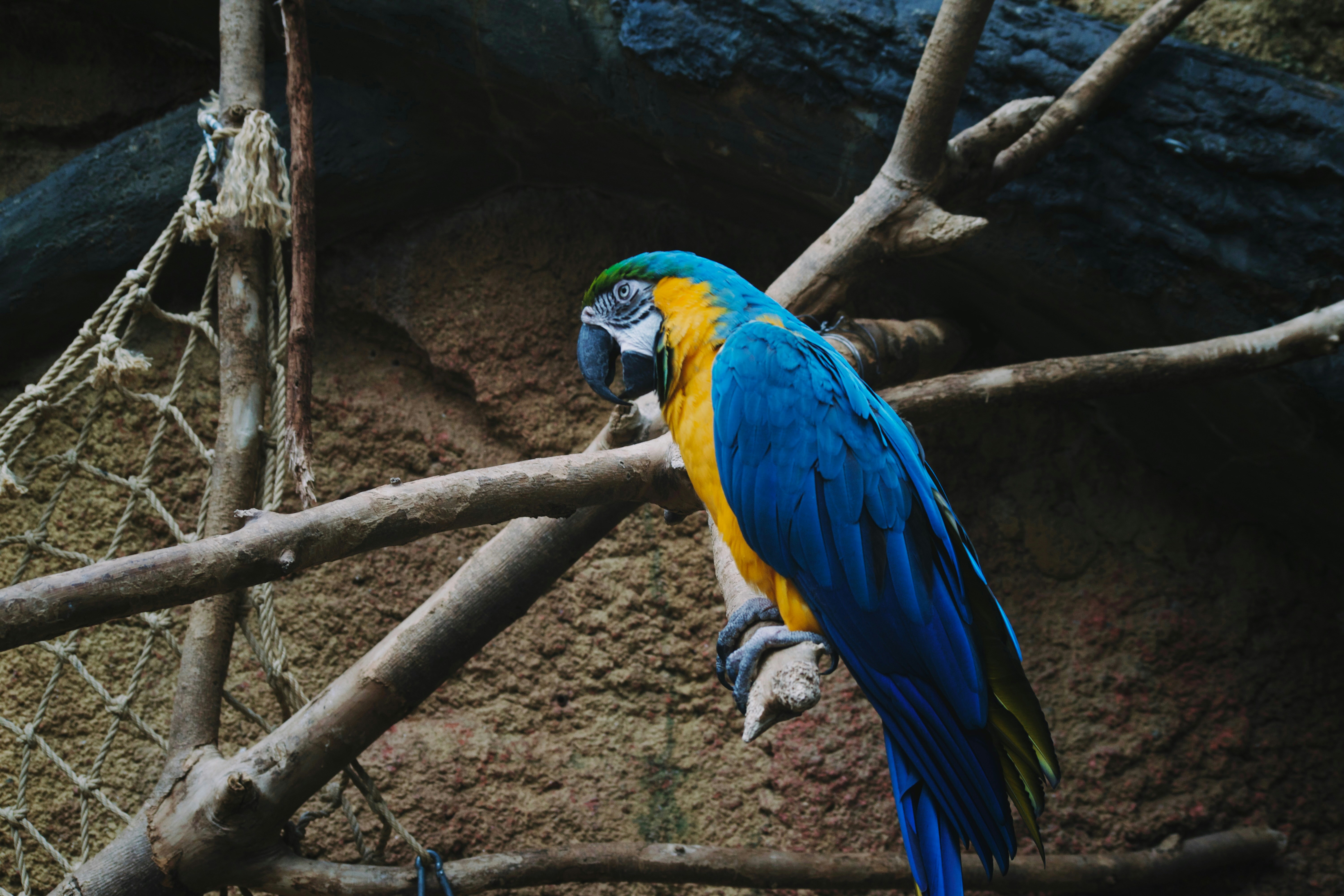 Photo by marshalliden124