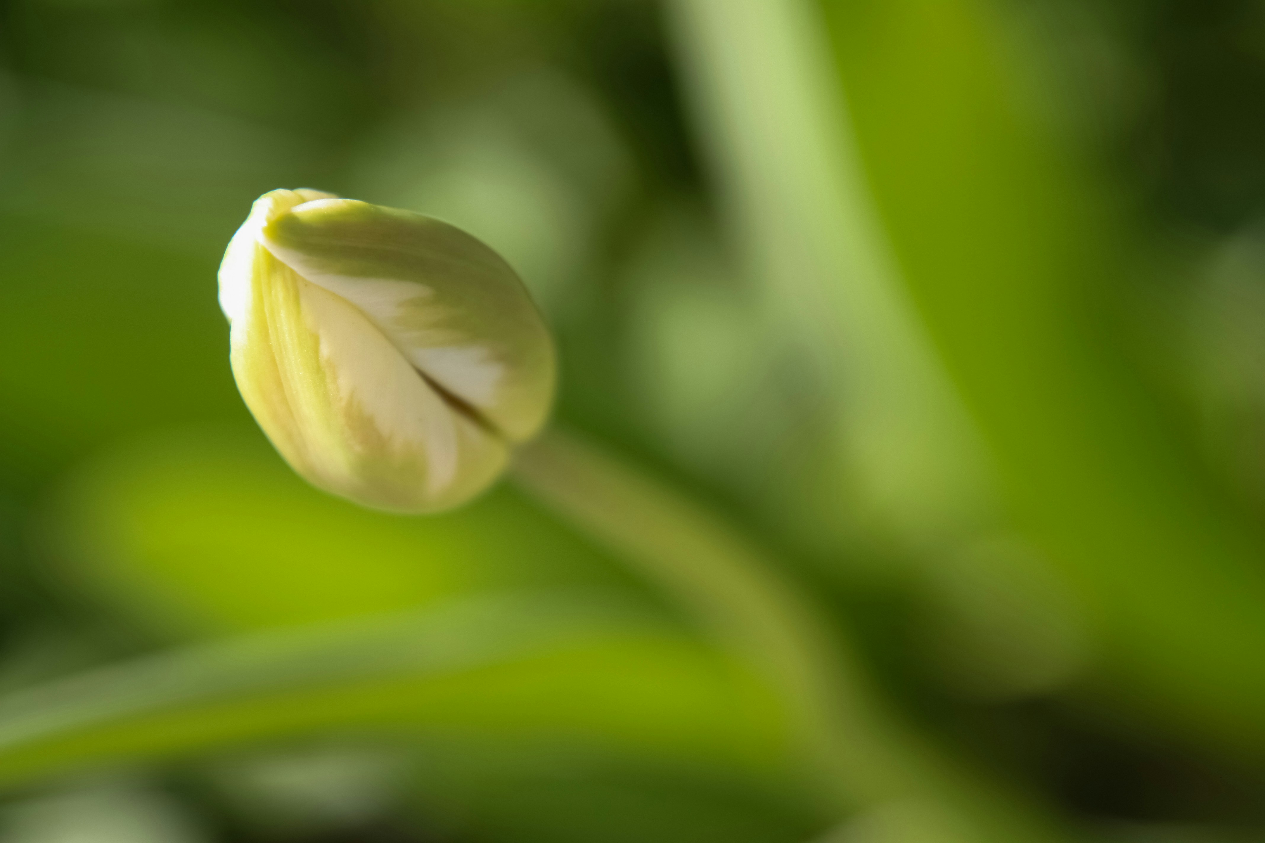 Photo by anthonyaird