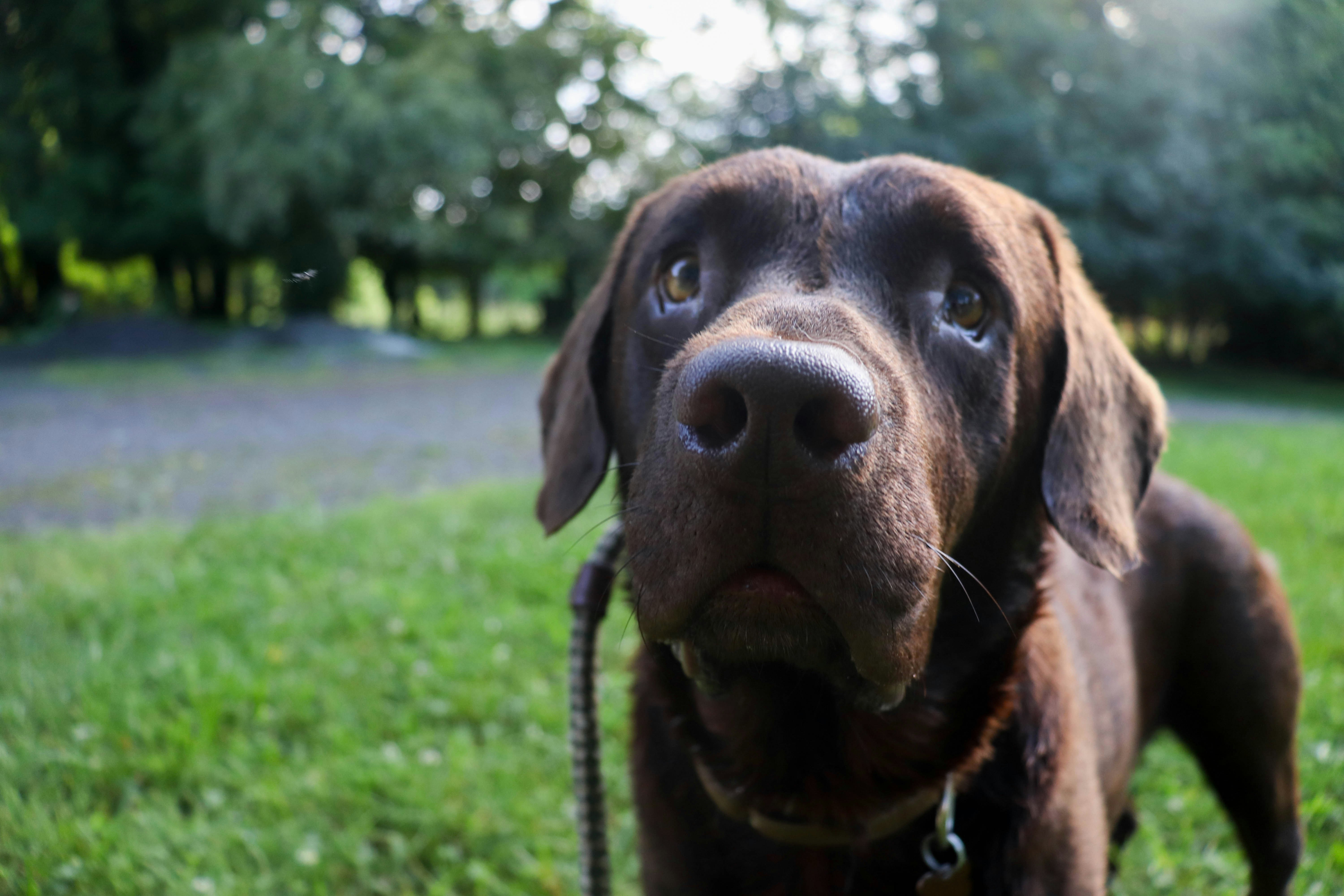 Photo by lroberts067