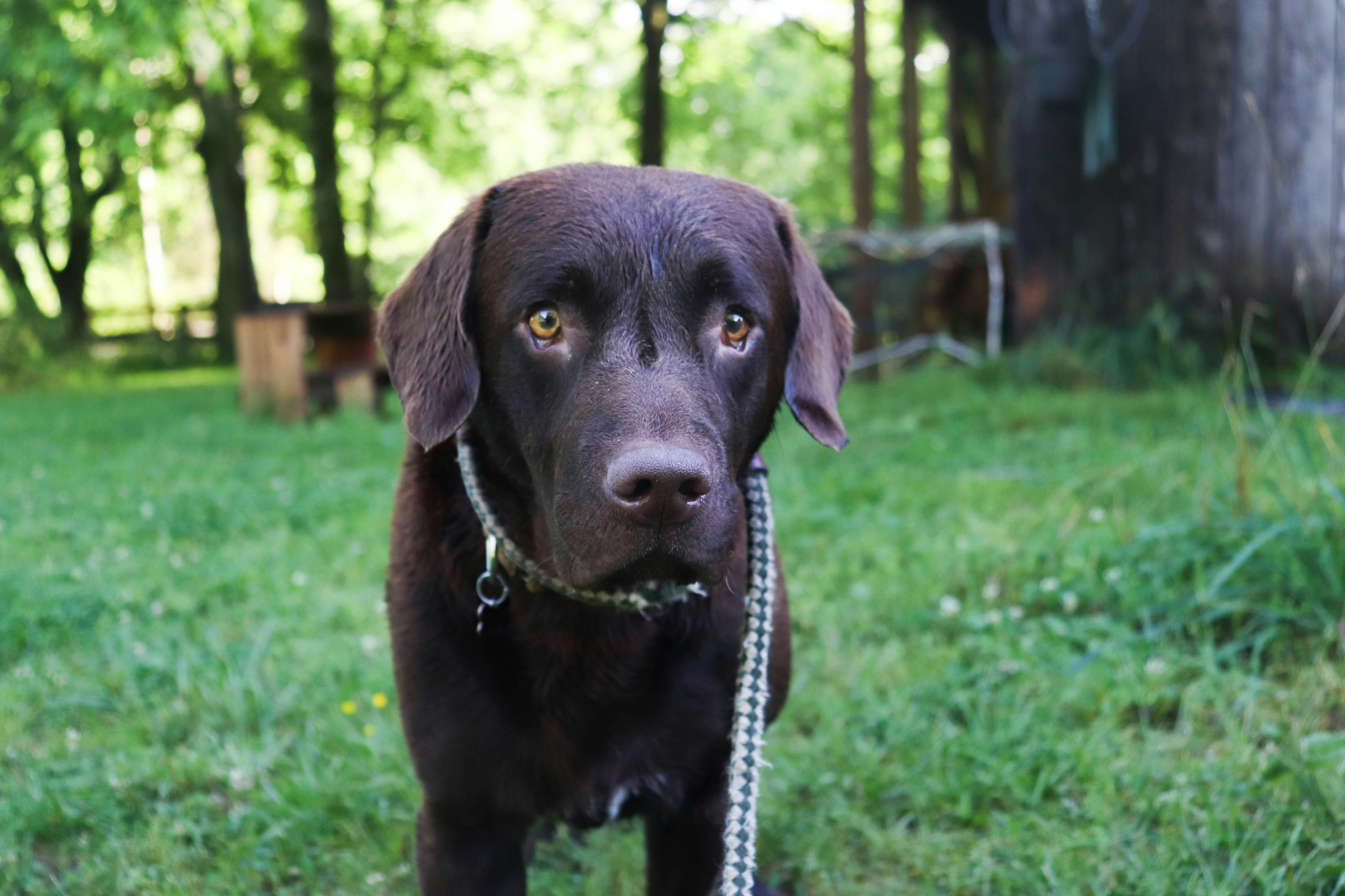 Photo by lroberts067