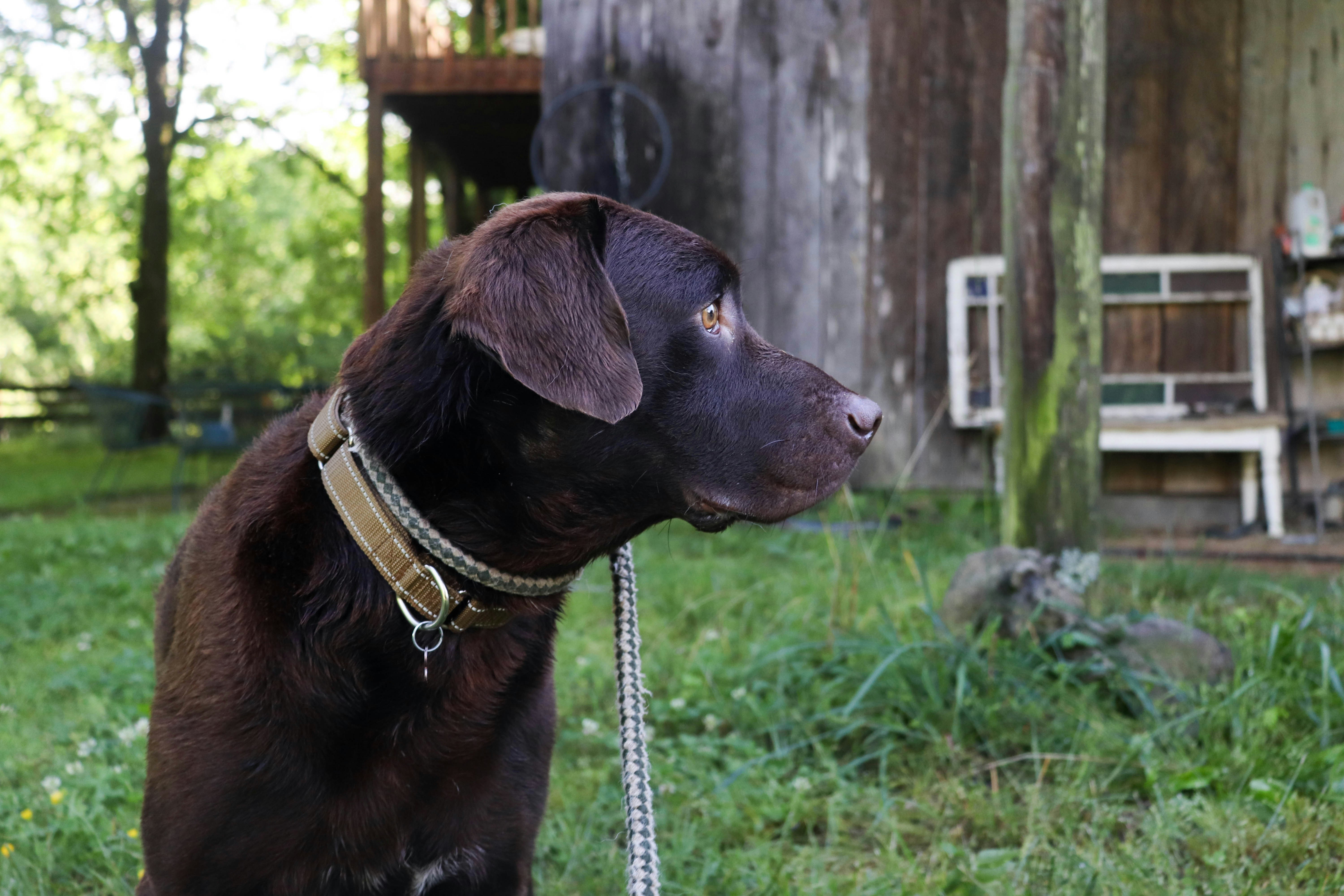 Photo by lroberts067