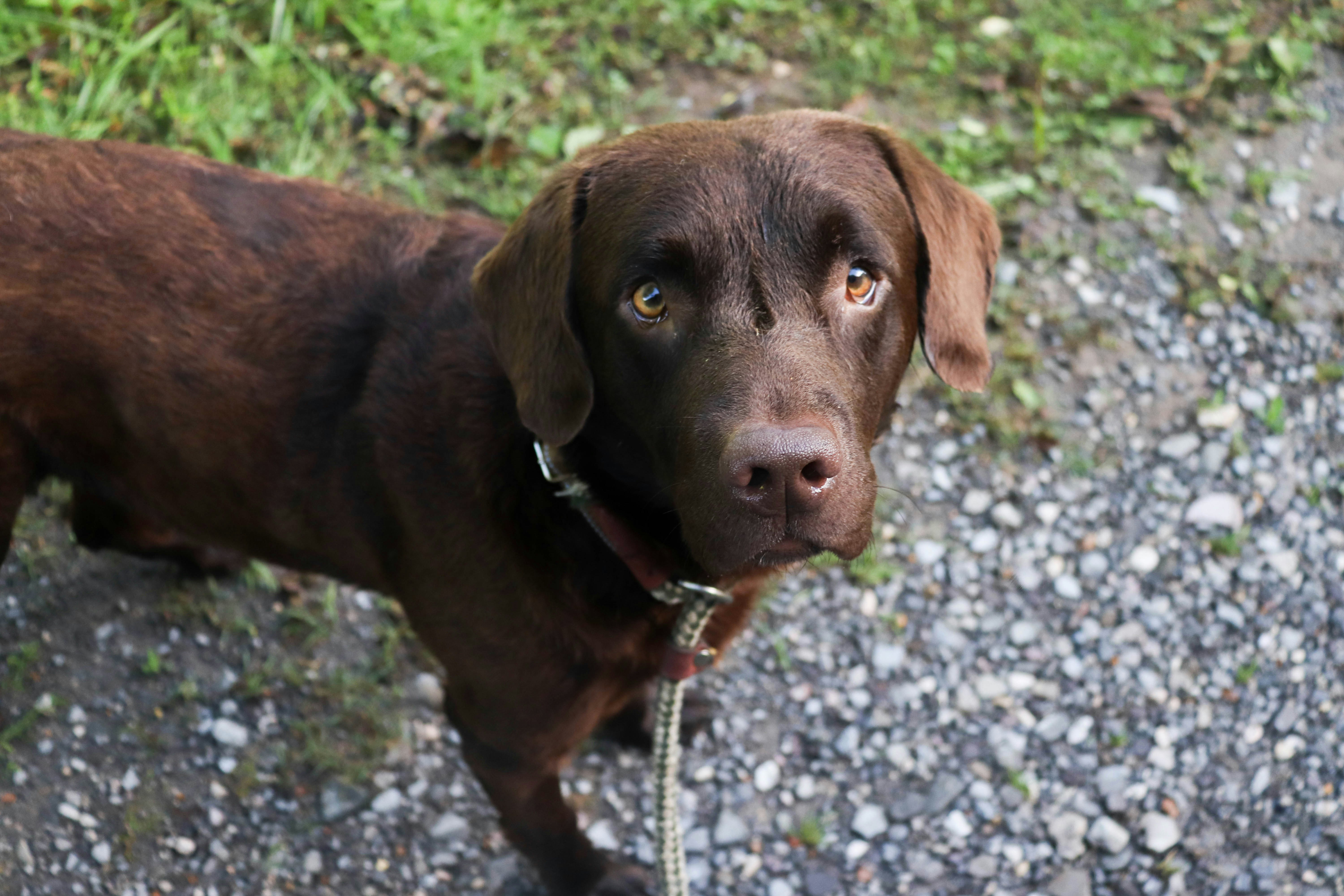 Photo by lroberts067