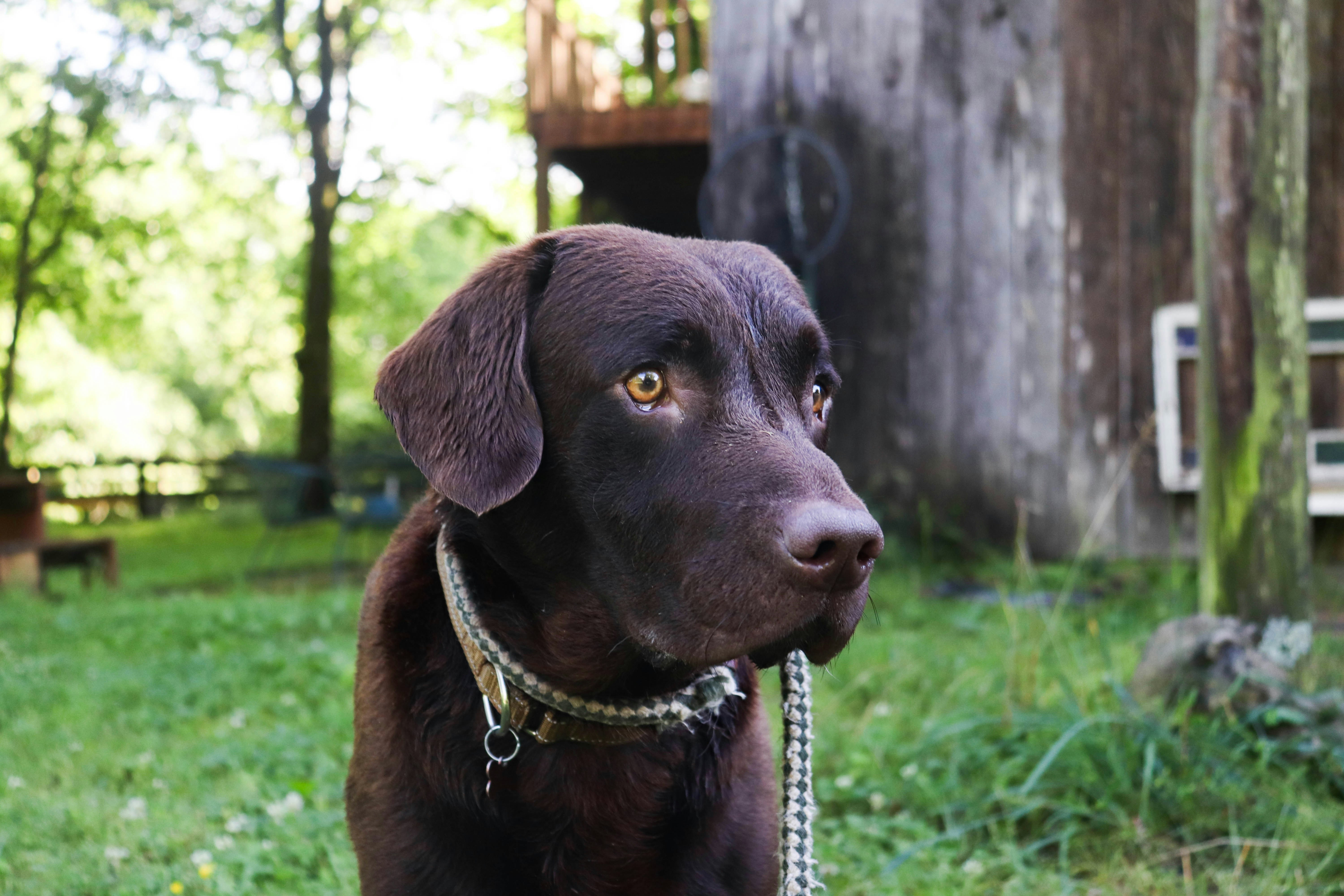 Photo by lroberts067