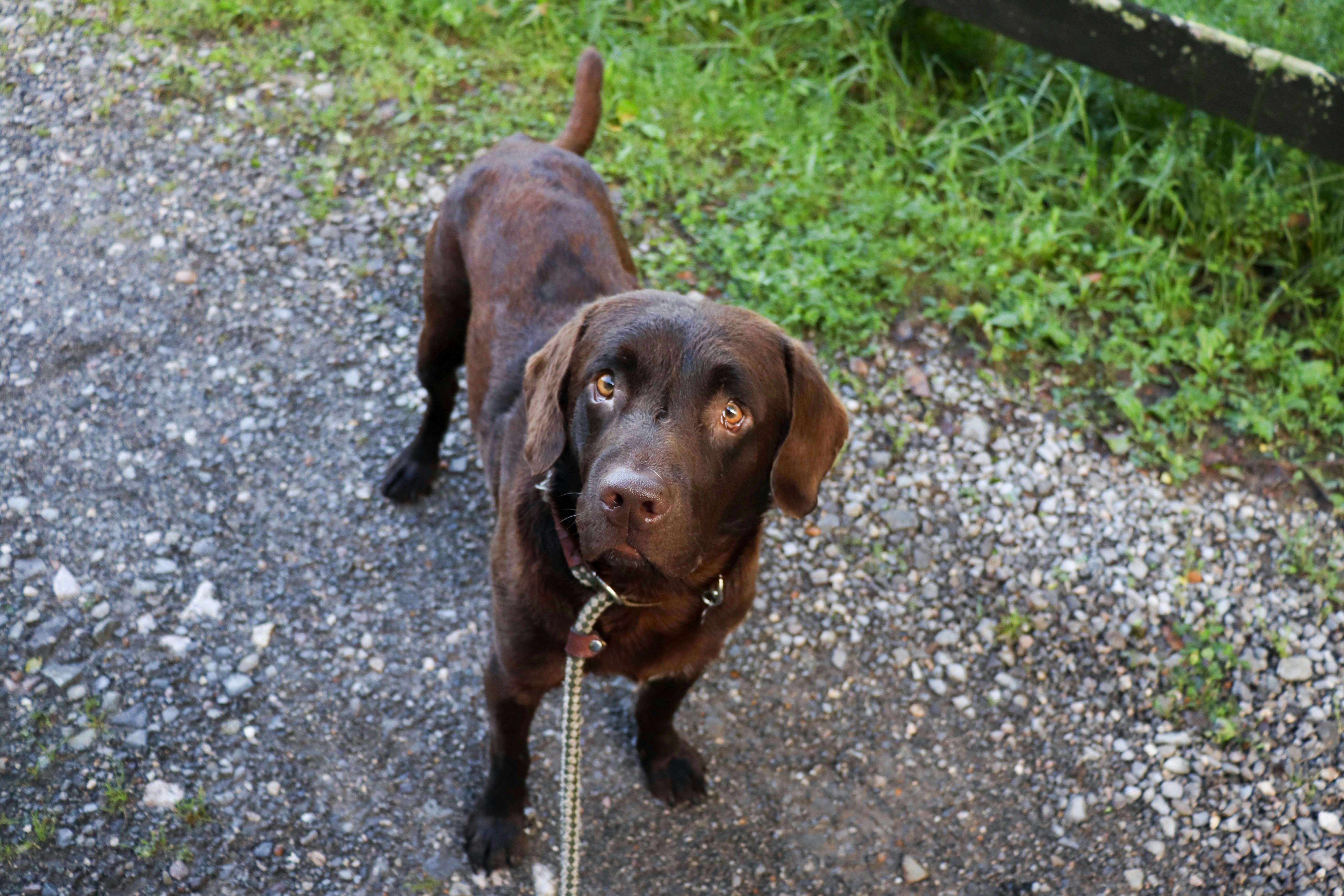 Photo by lroberts067