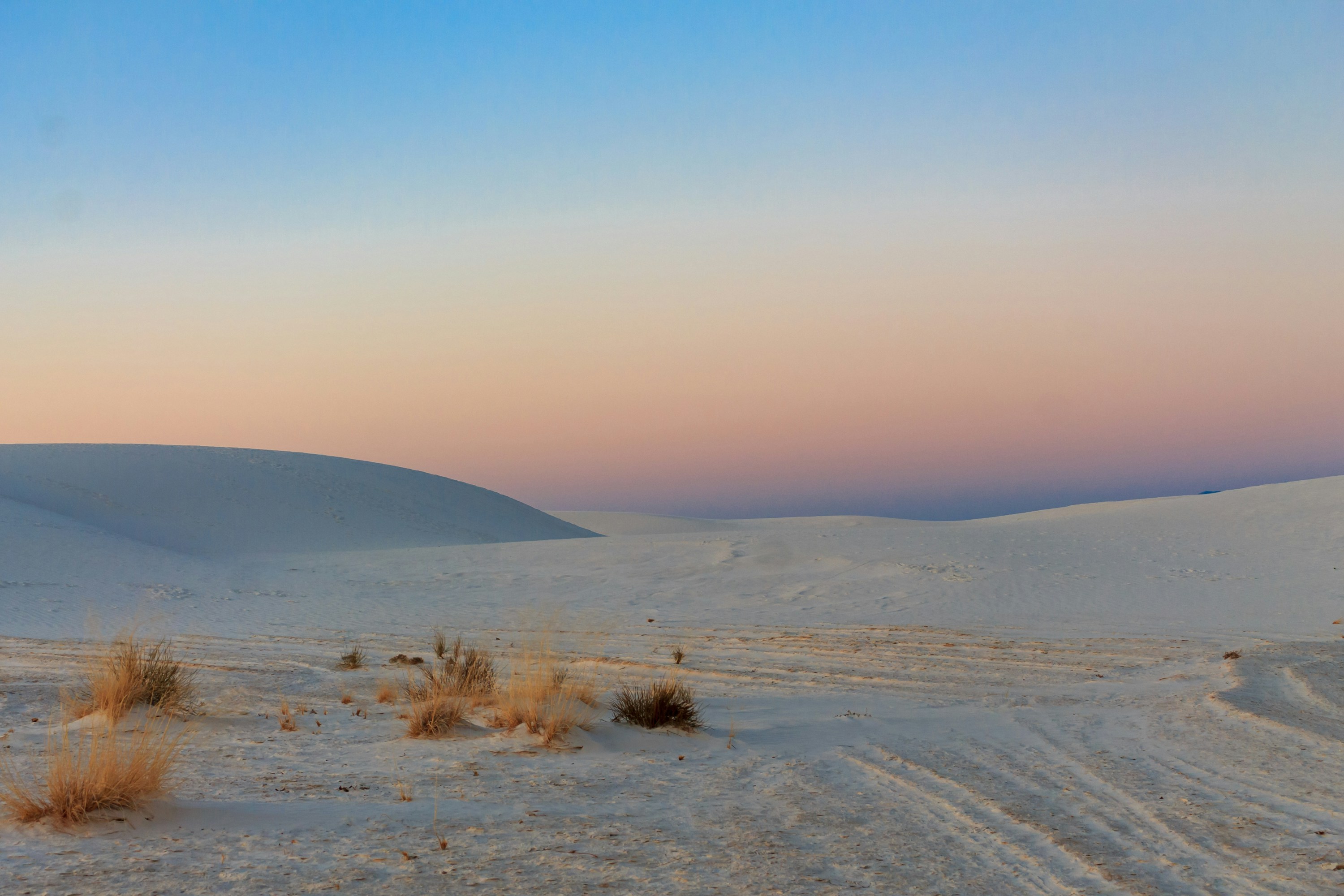 Photo by thirdcoastdad