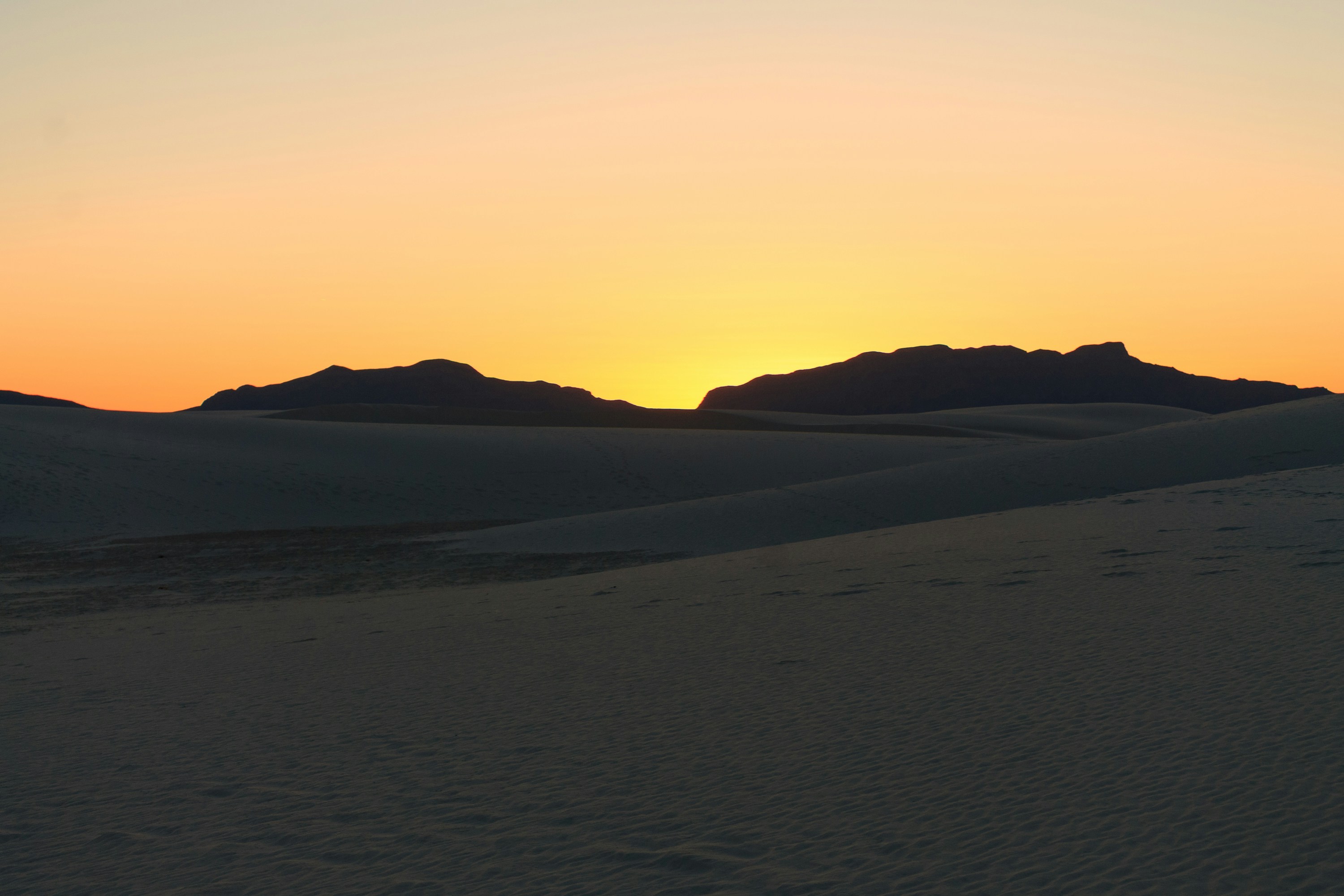 Photo by thirdcoastdad