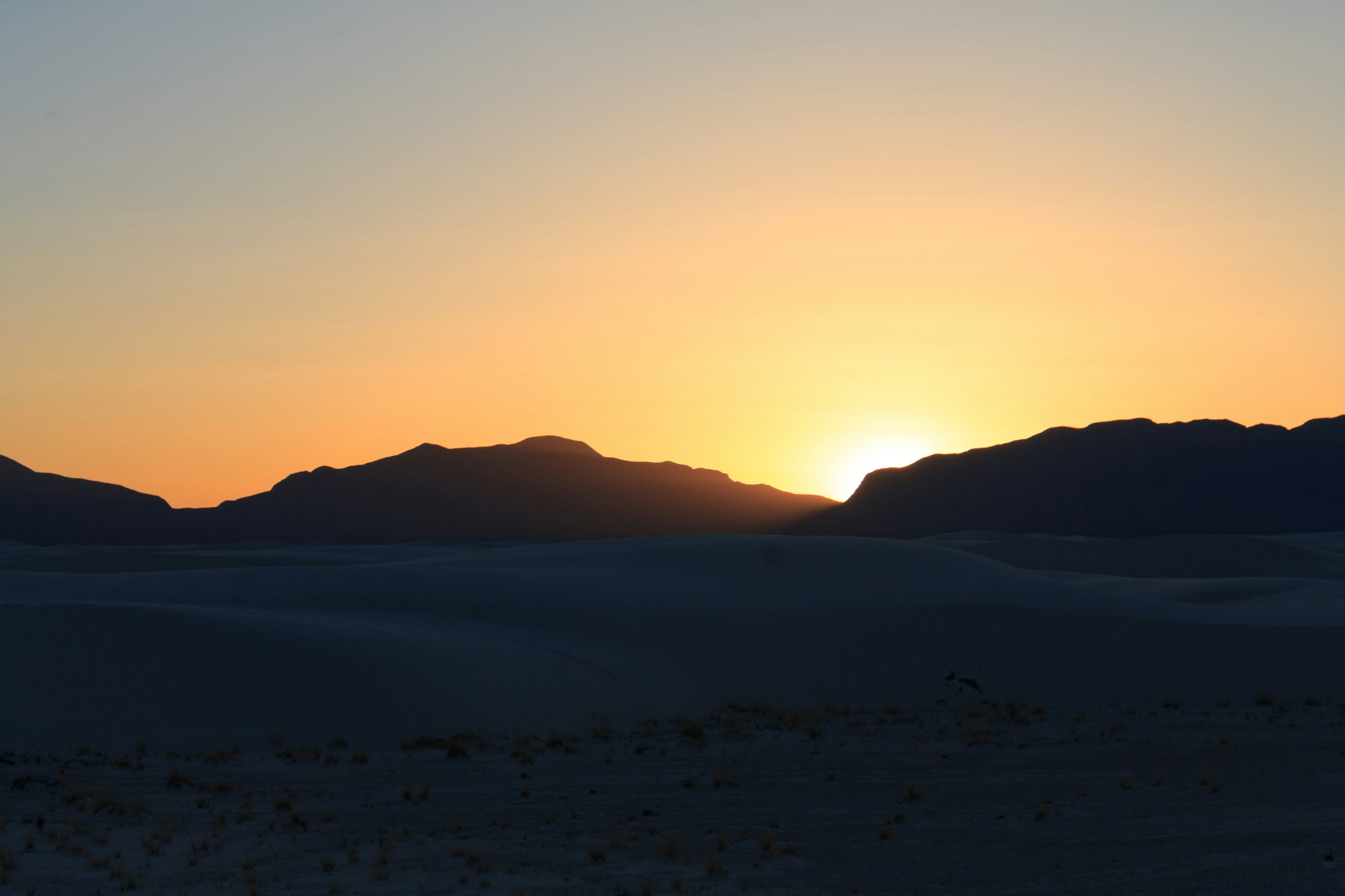 Photo by thirdcoastdad