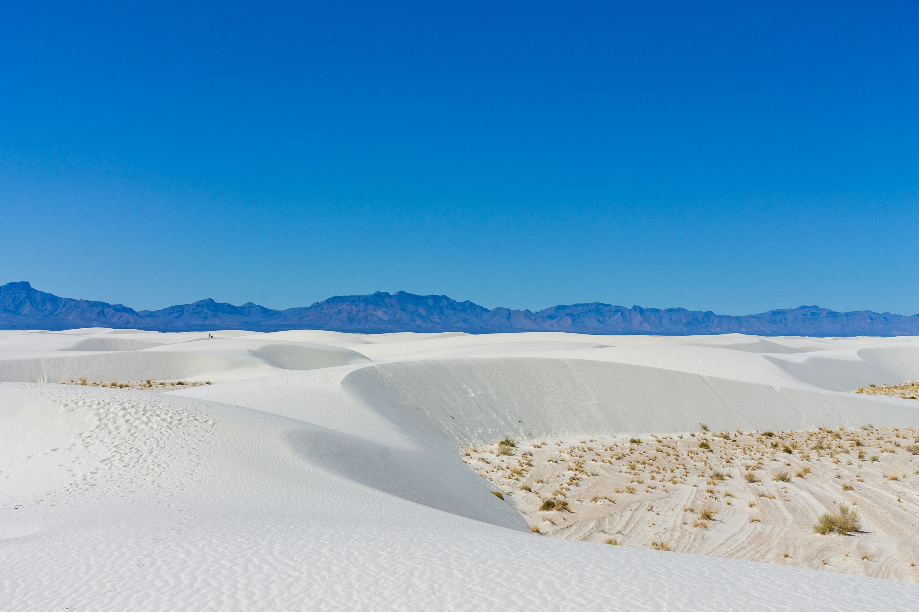 Photo by thirdcoastdad