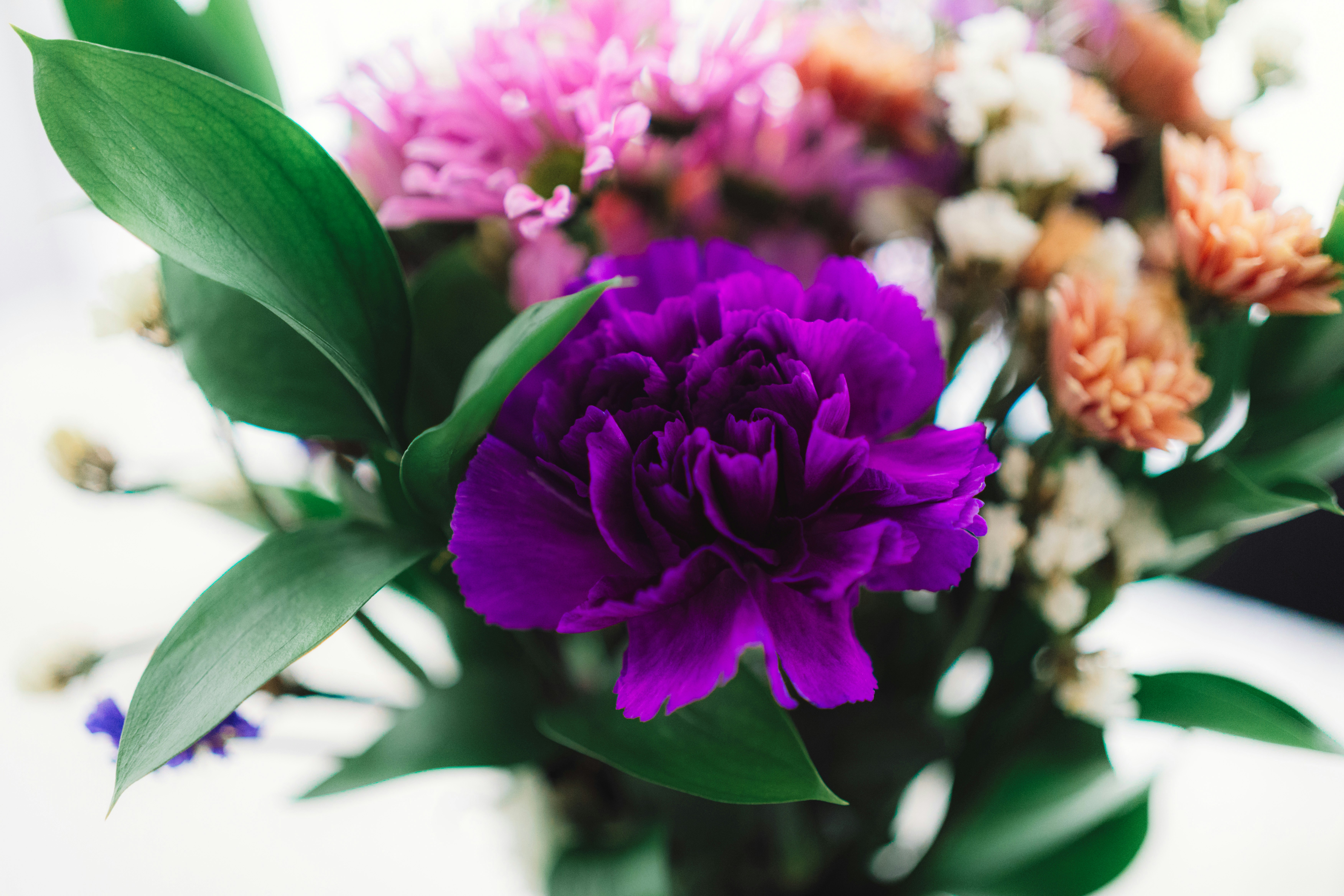 Photo by user90807060