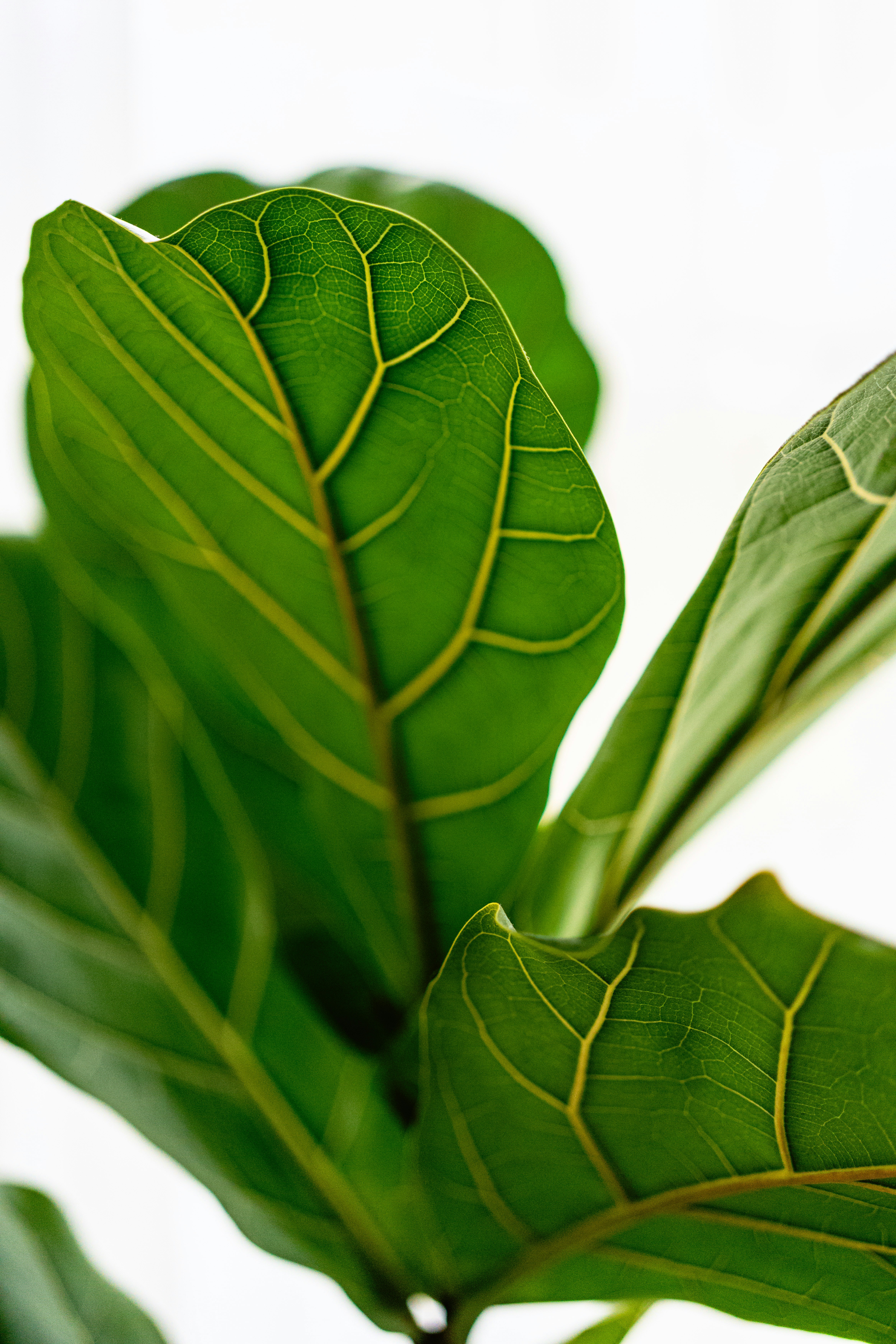 Photo by user90807060