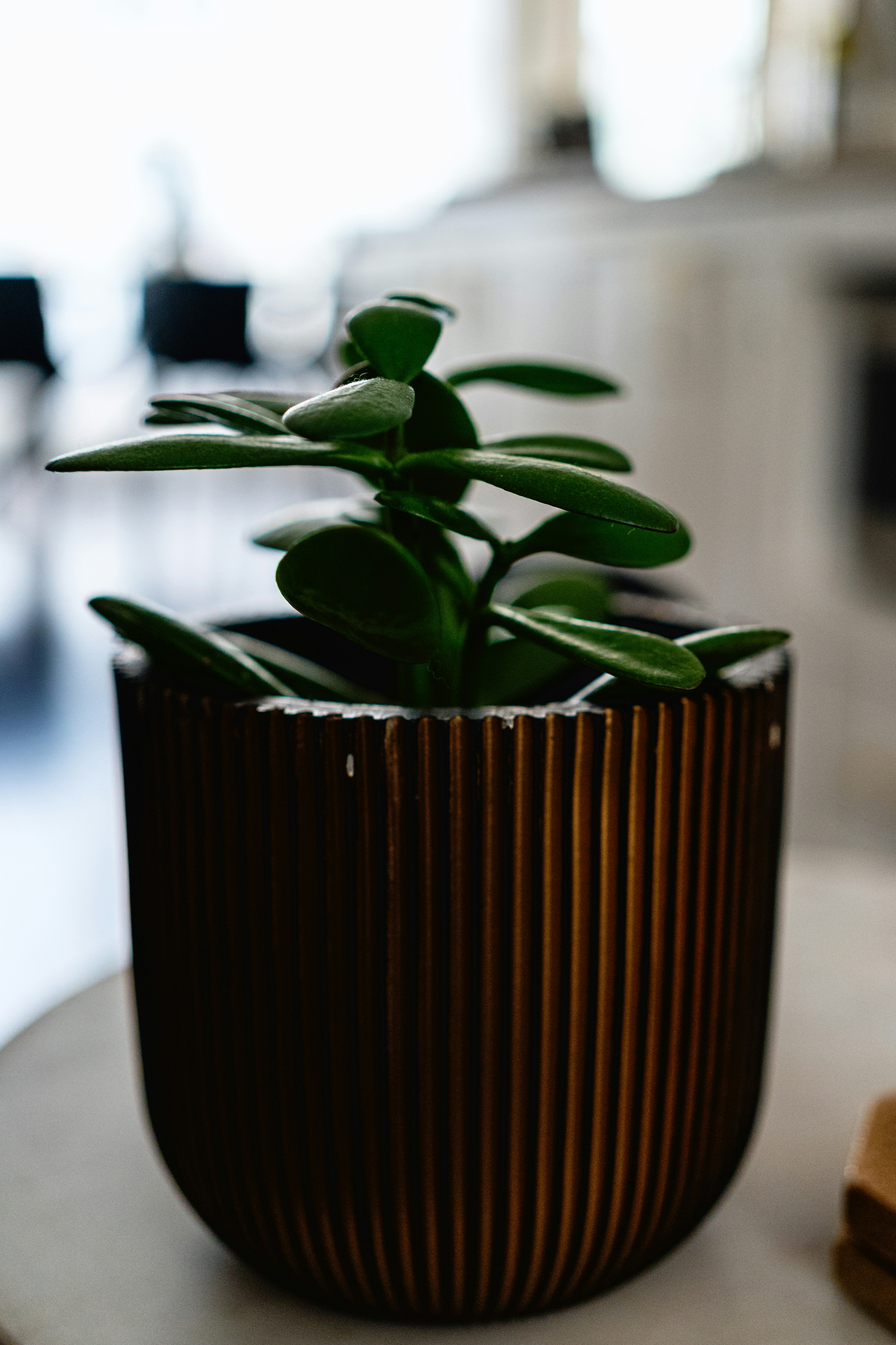 Photo by user90807060